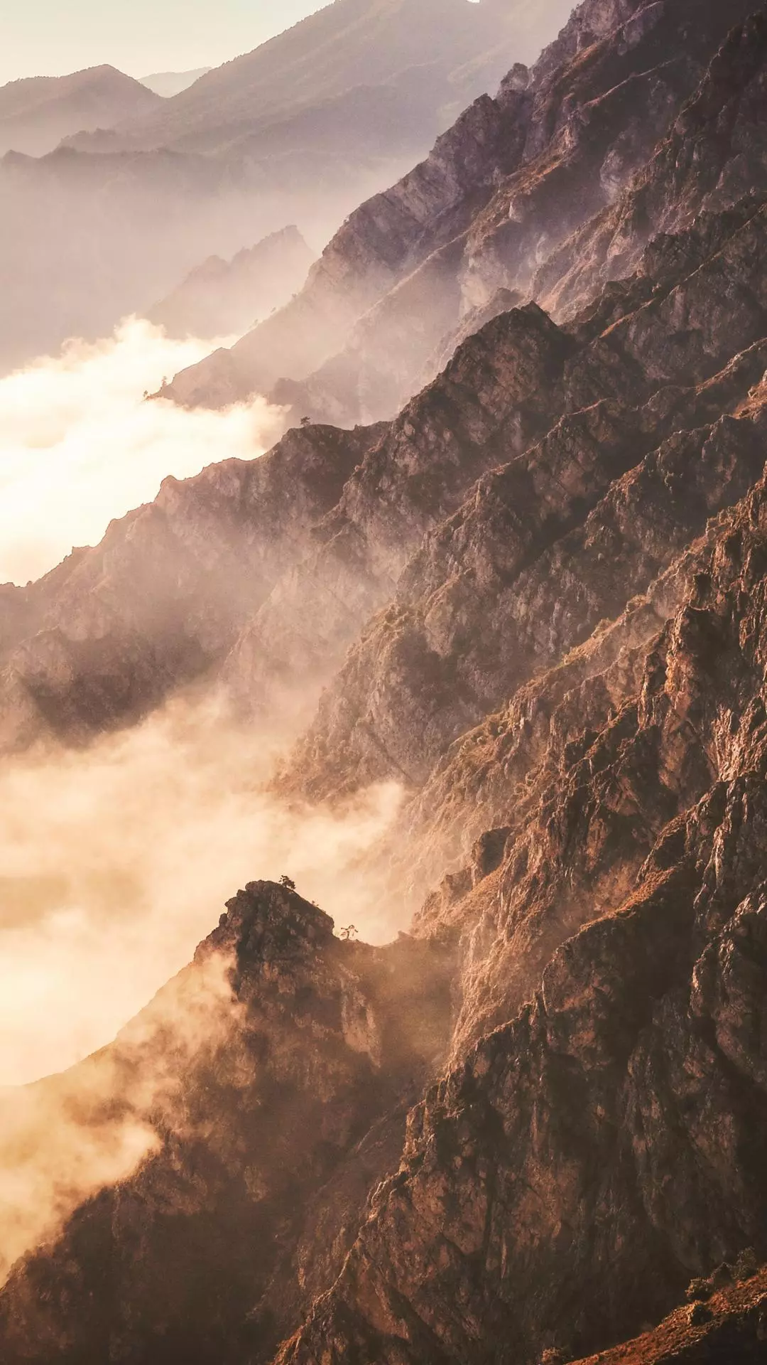 Landscapes