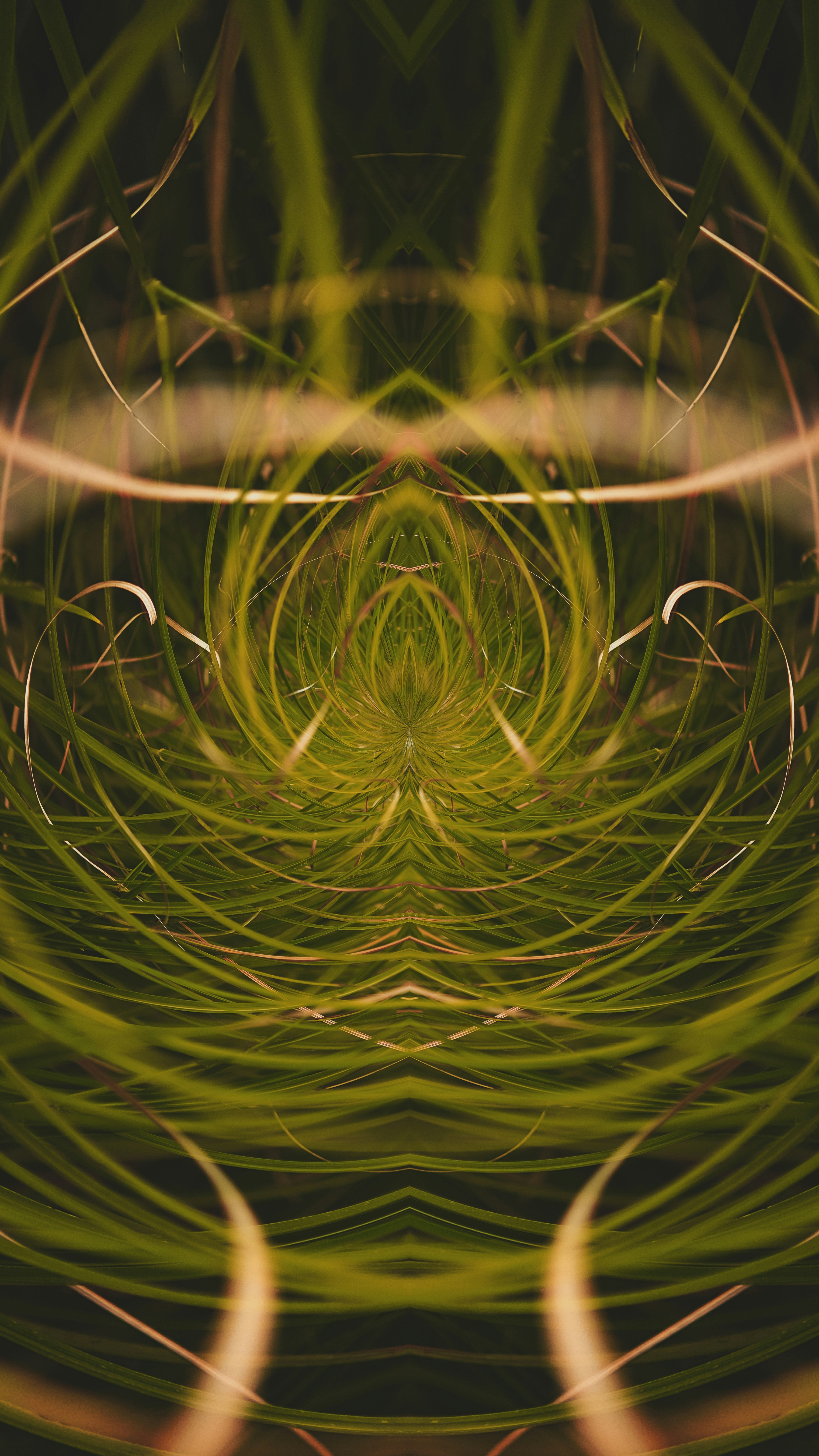 Forest & Flora