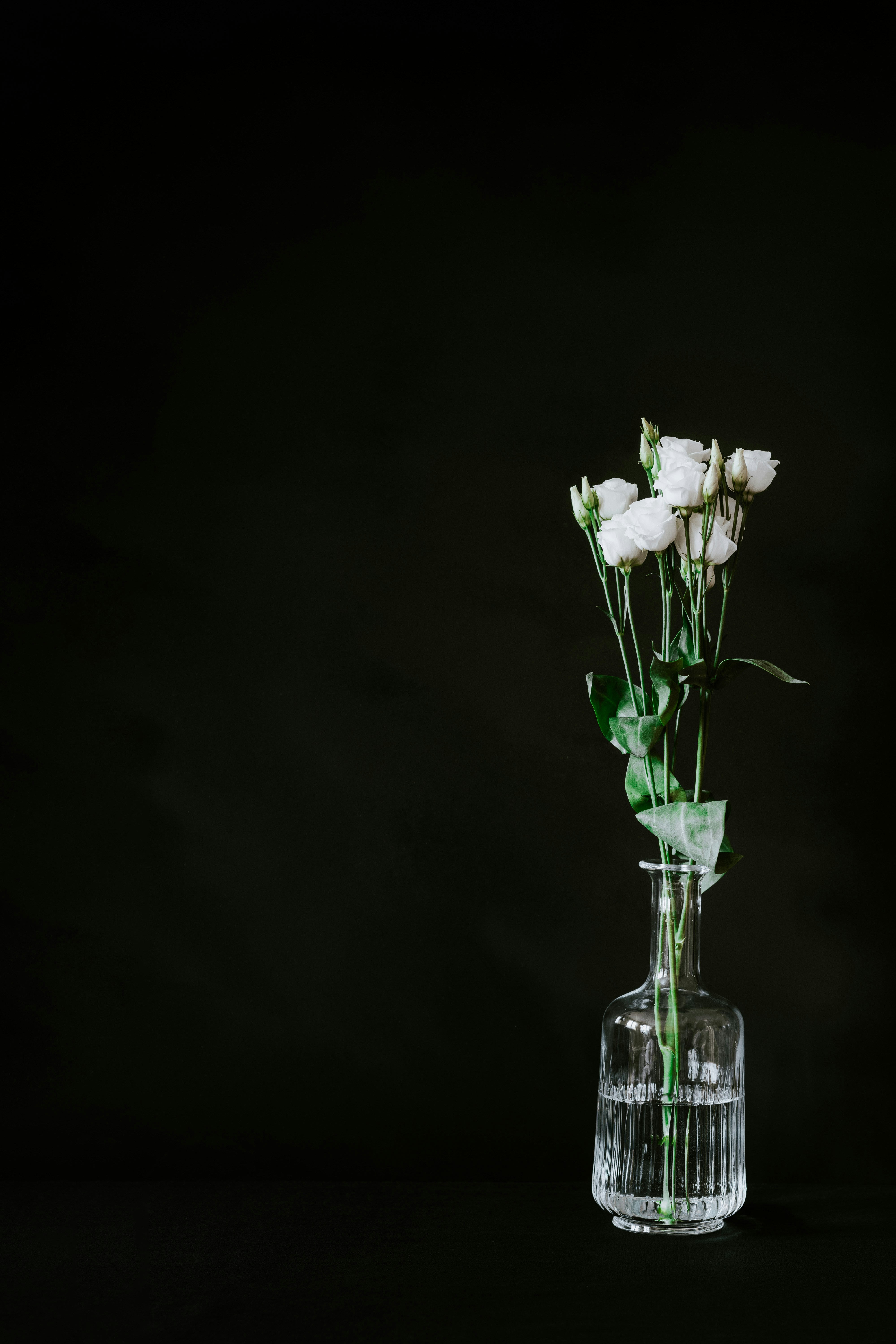 White Flowers in Glass Vase
