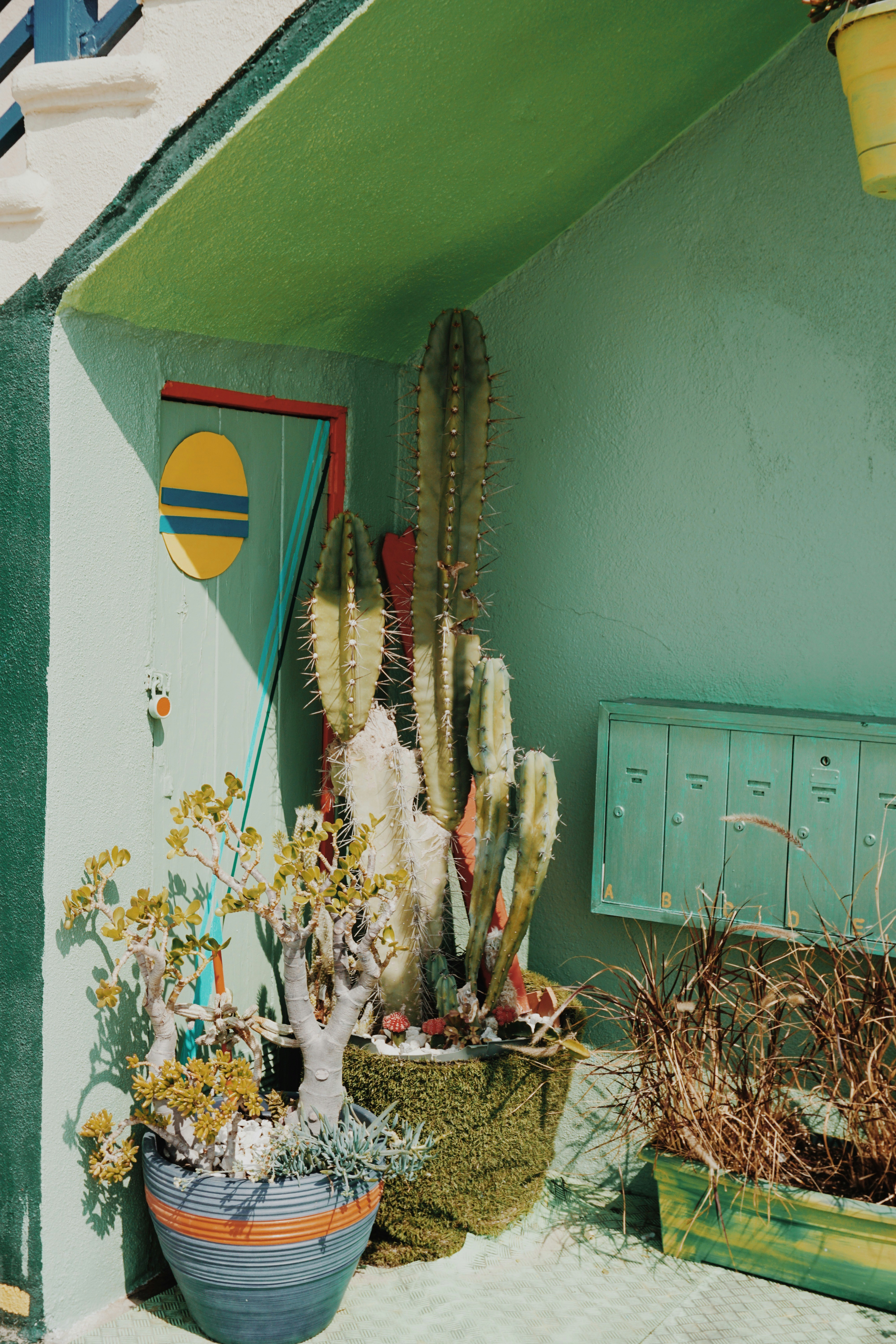 Green Porch Corner with Potted Cacti