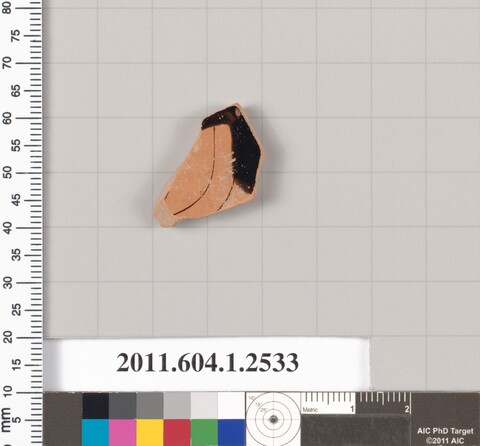Pottery Shard Artifact with Measurement Scale