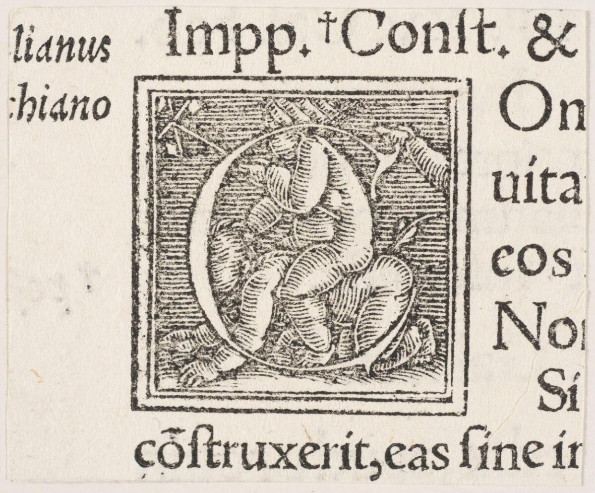 Antique Printed Decorative Initial Woodcut
