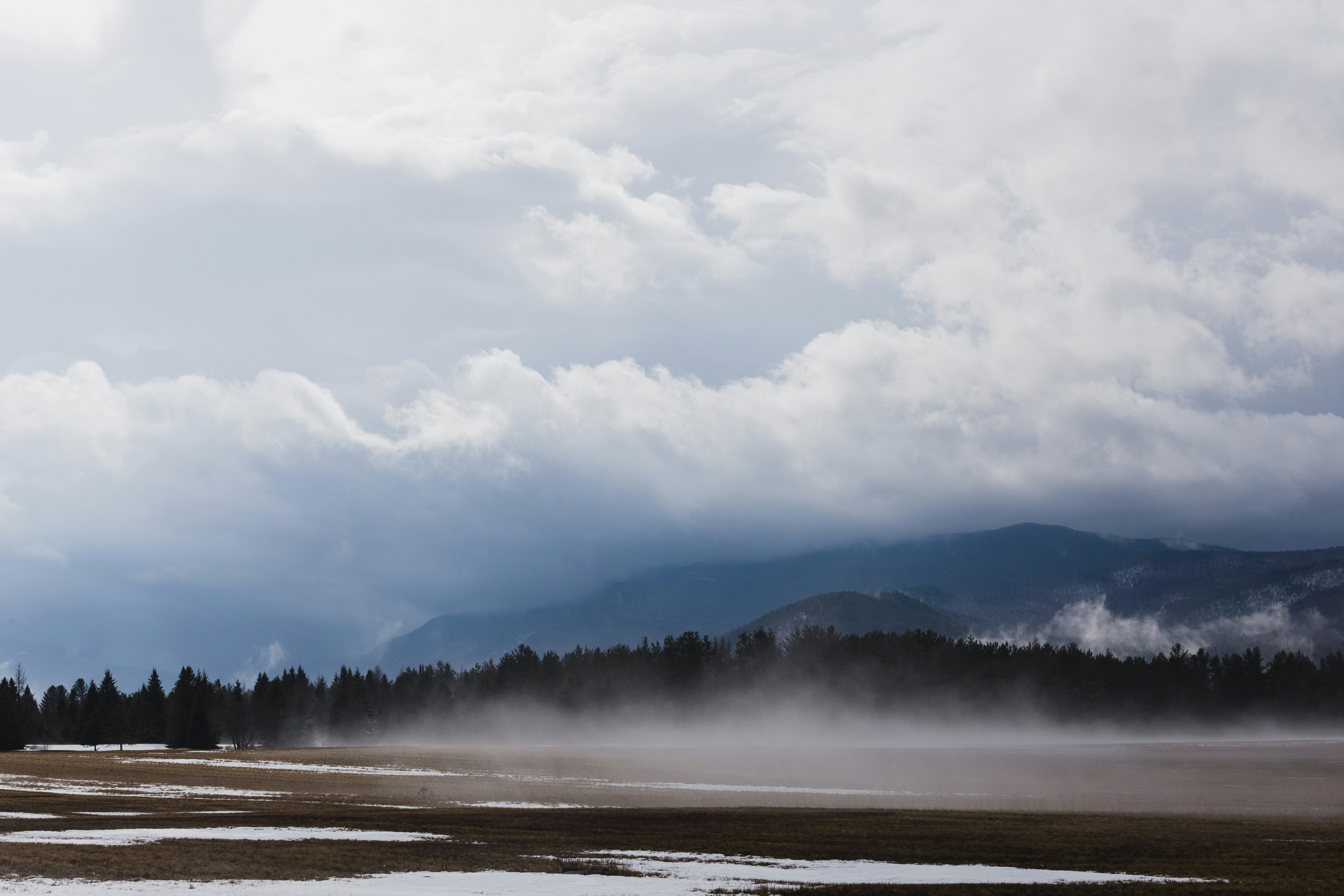 Misty Winter Mountain Meadow
