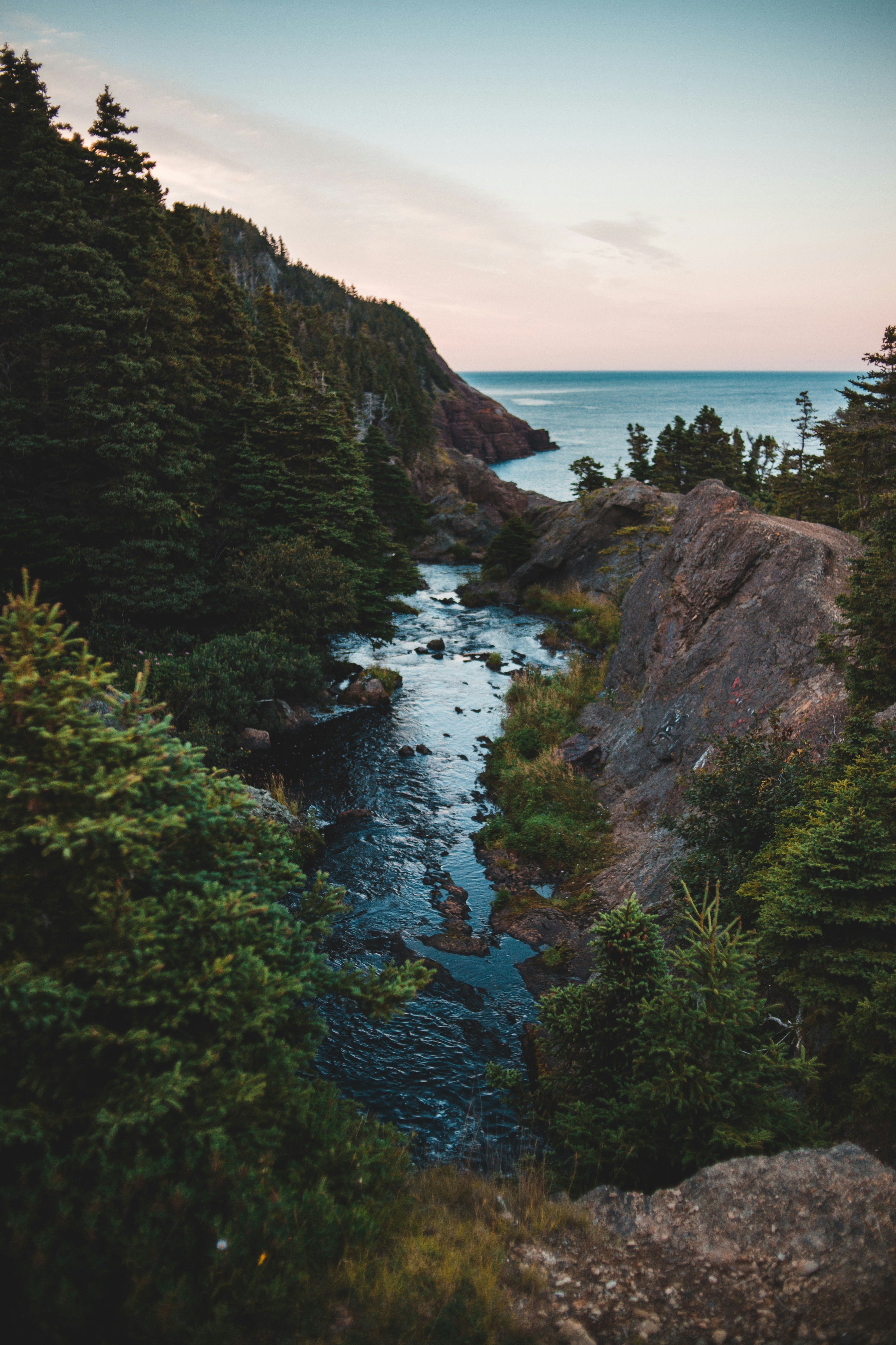 Coastal Forest River Meets the Ocean