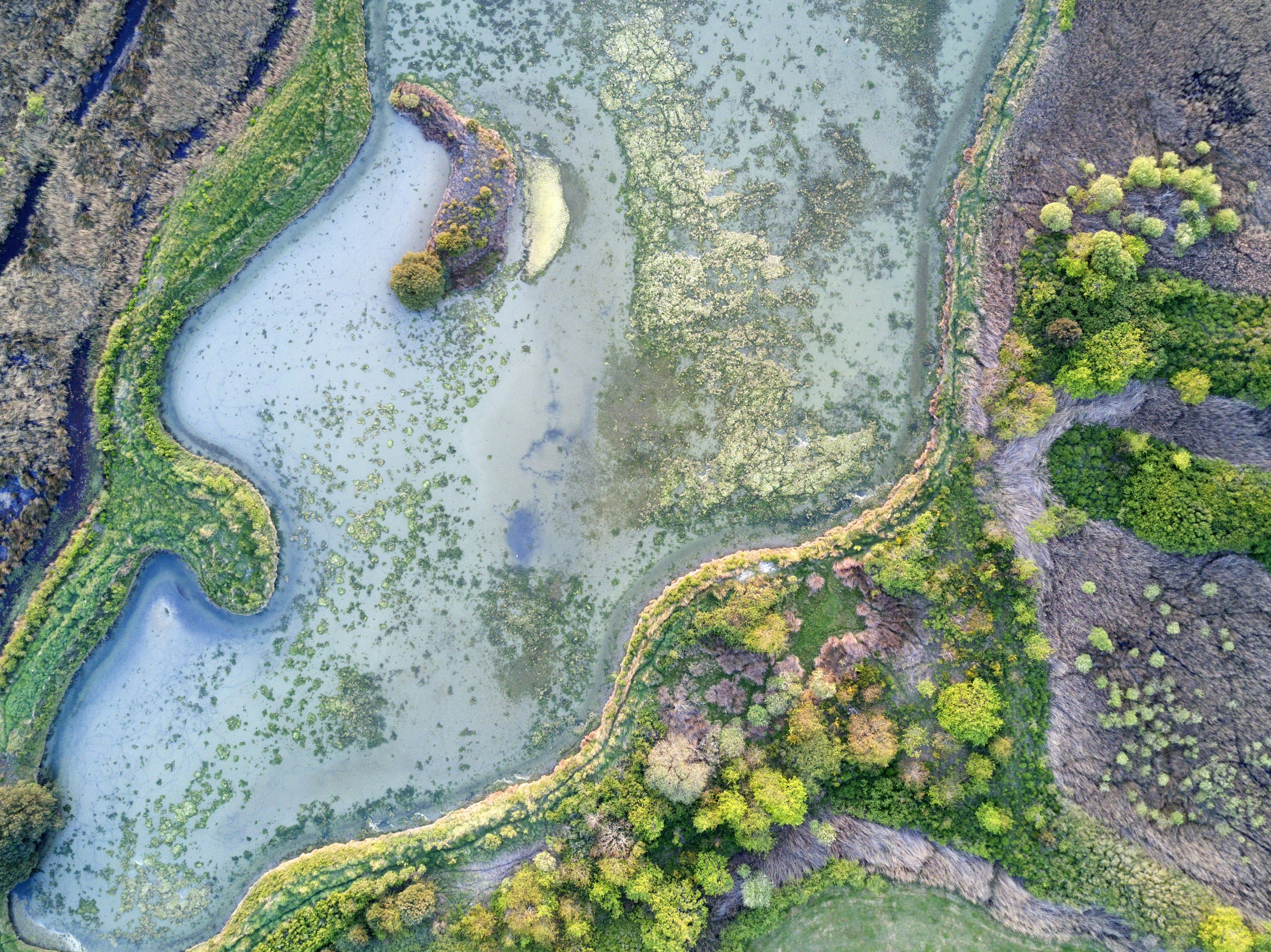 Aerial View of Wetland River