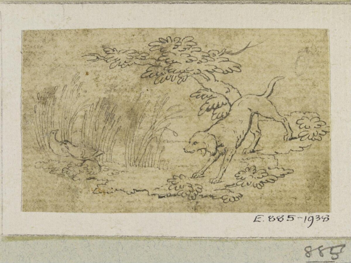 Sketch of Hunting Dog Pointing Game