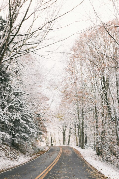 Snowy Forest Winding Road