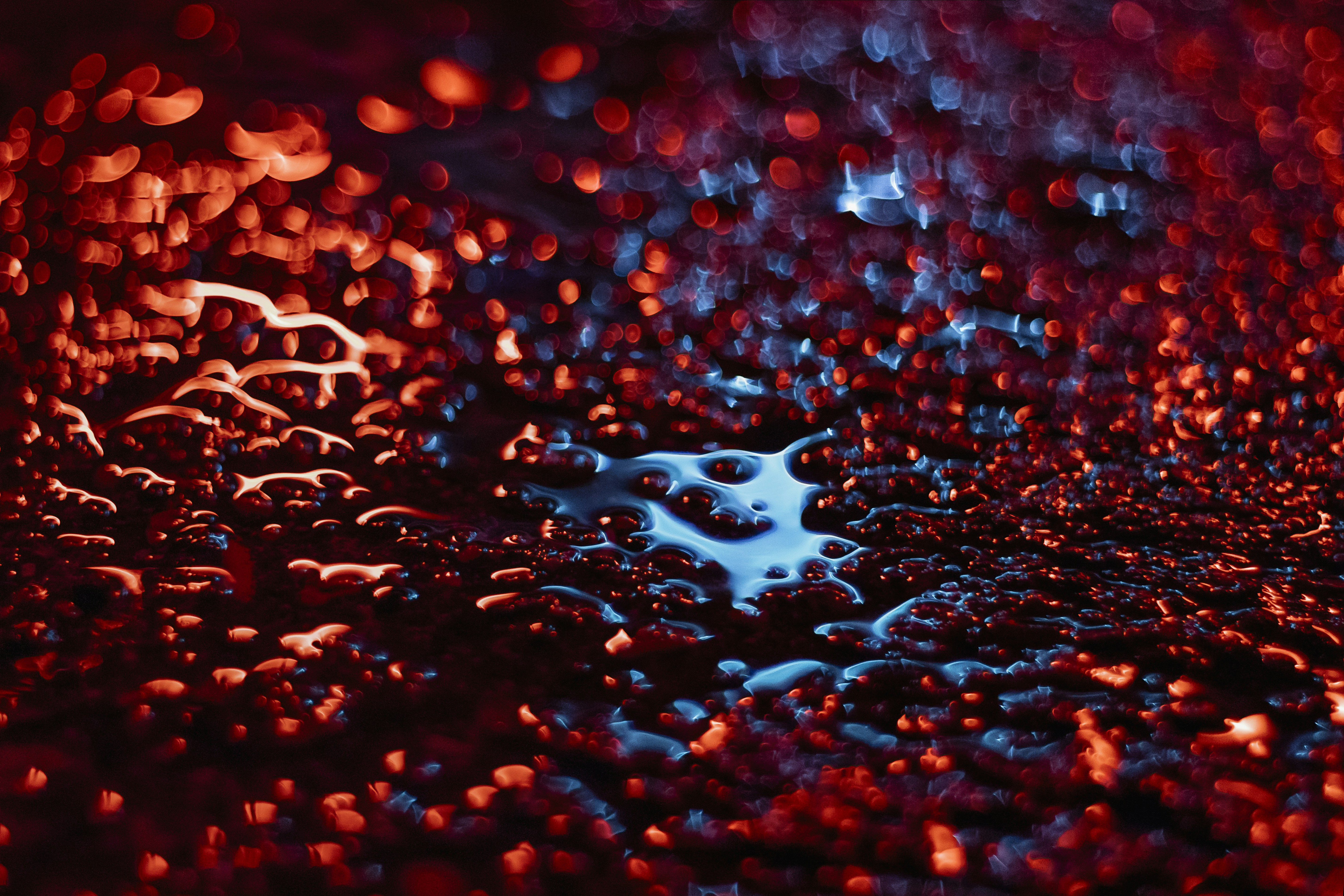 Bokeh Reflections on Water Surface