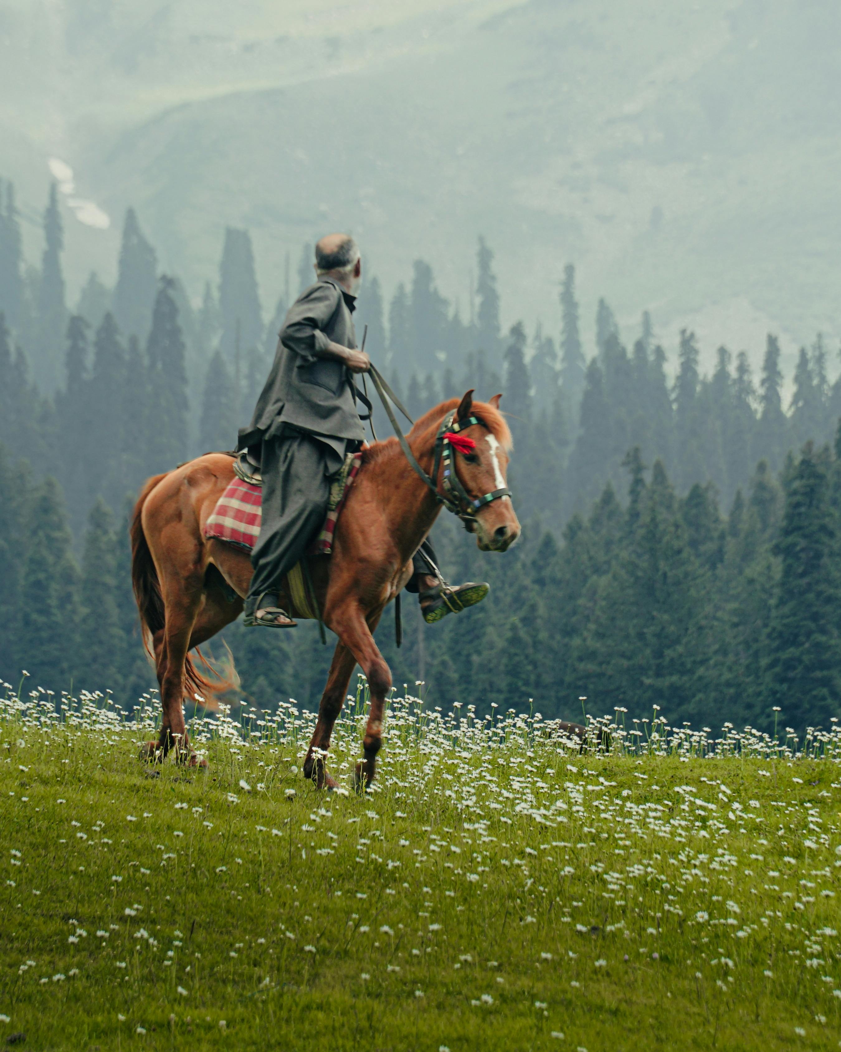 Man Riding Horse Through Mountain Meadow