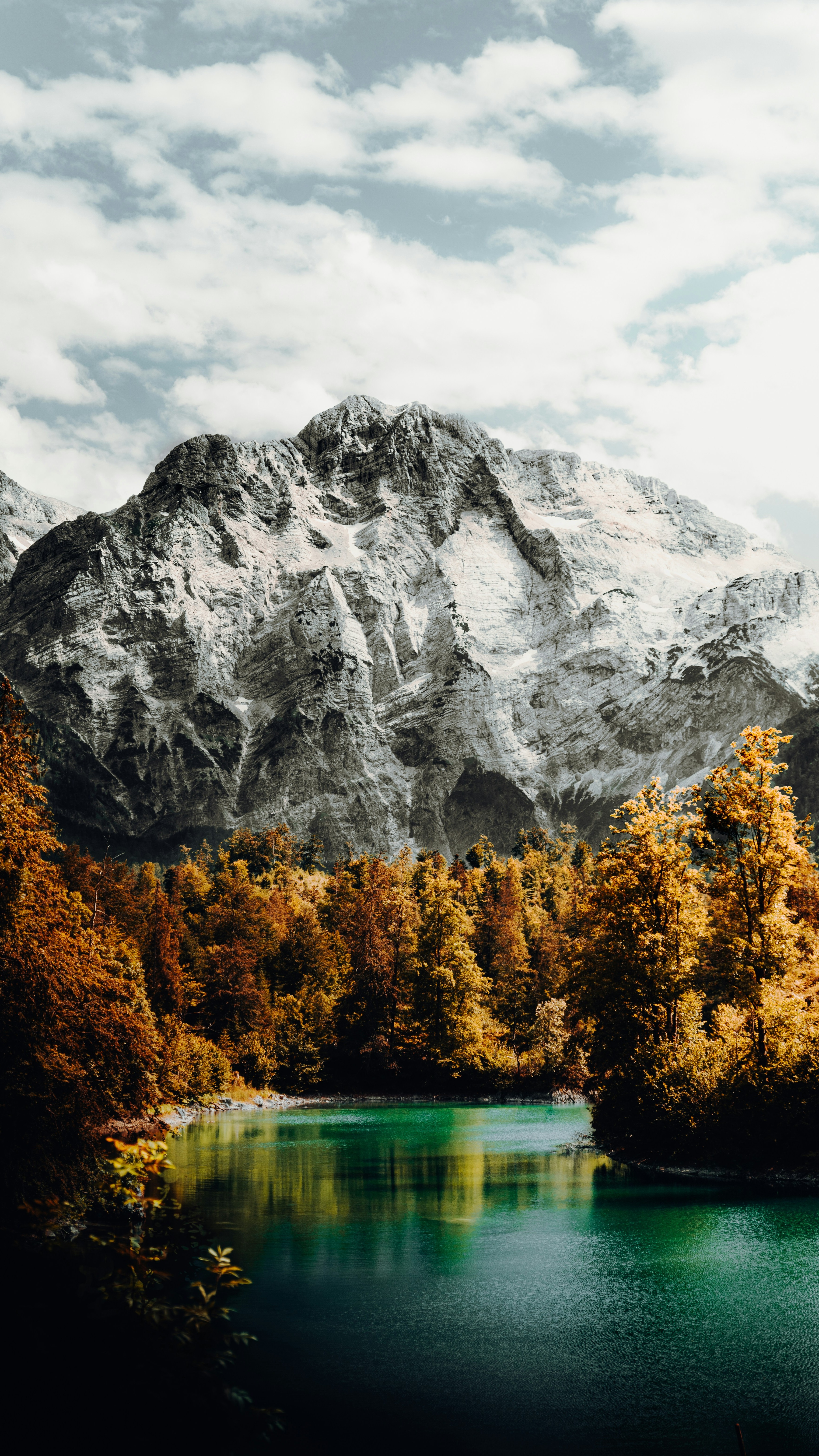 Wallpapers