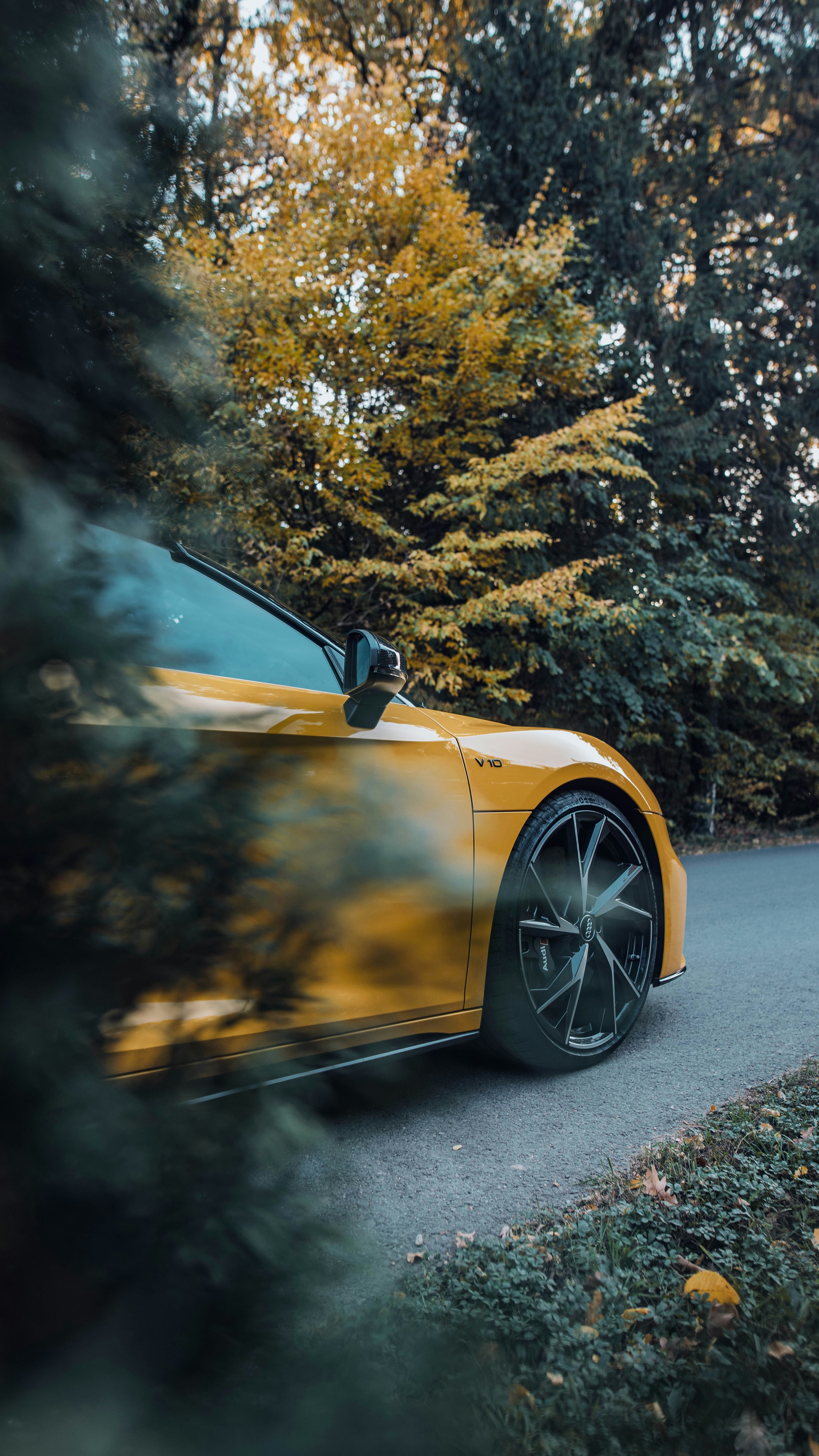 Yellow Audi V10 Parked on Autumn Road
