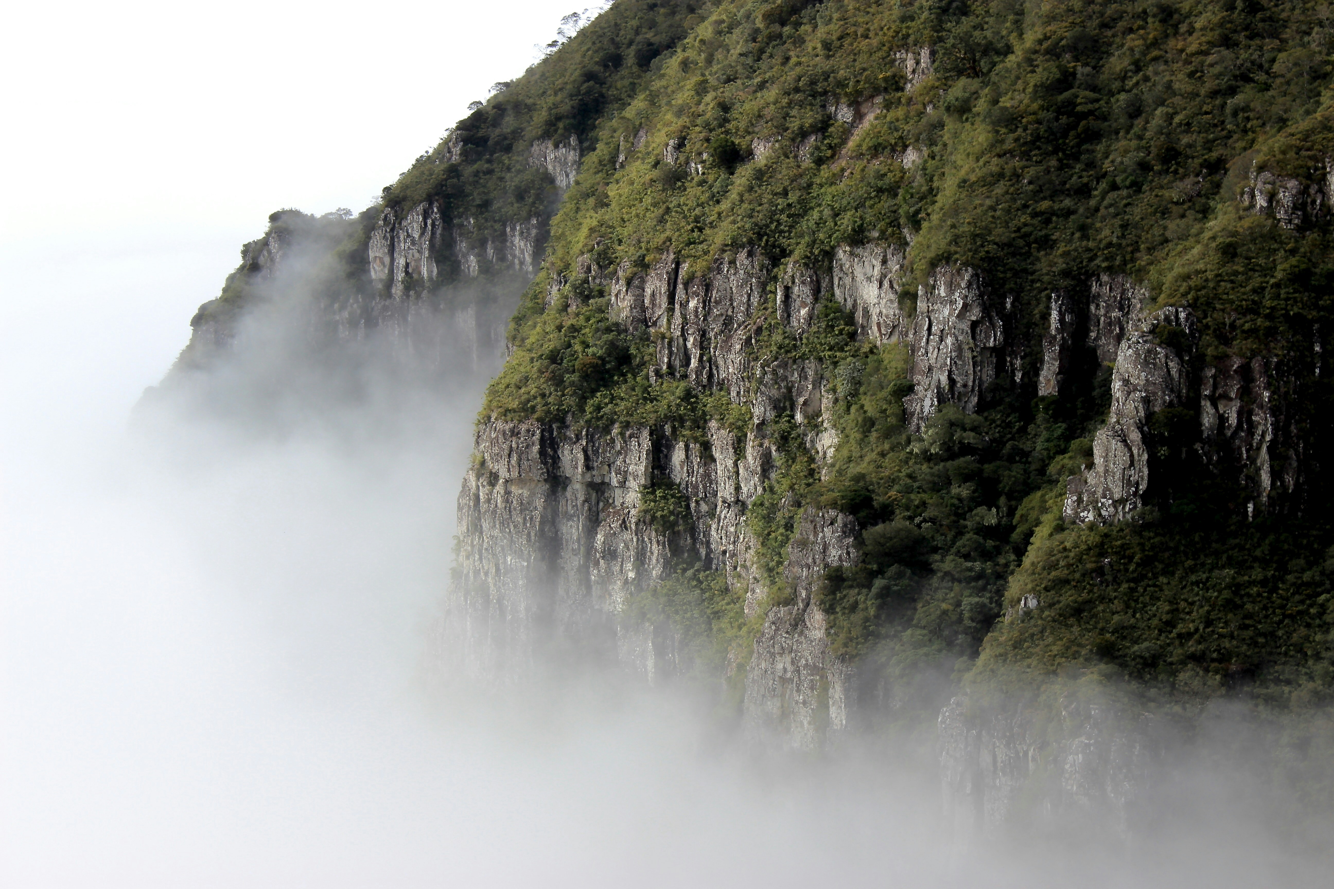 Cliff in Foggy Mountains
