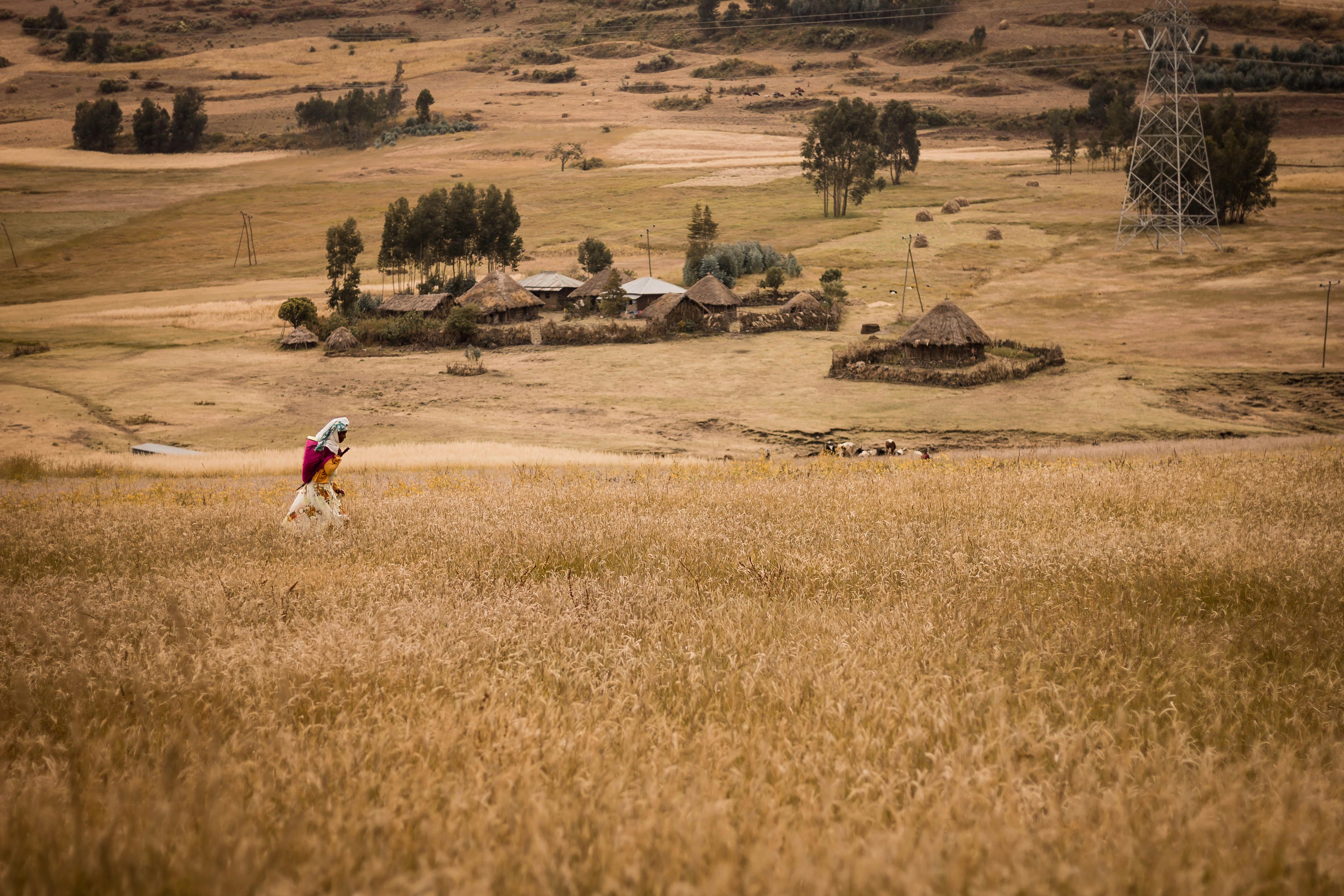 Woman Walking in Rural Countryside