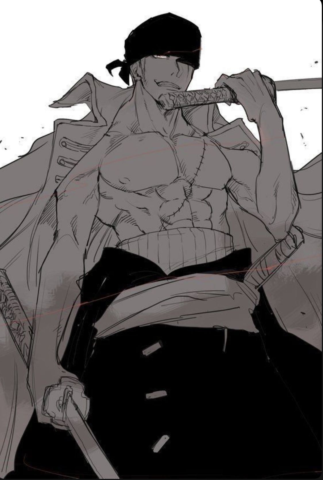 Roronoa Zoro Monochrome Sketch