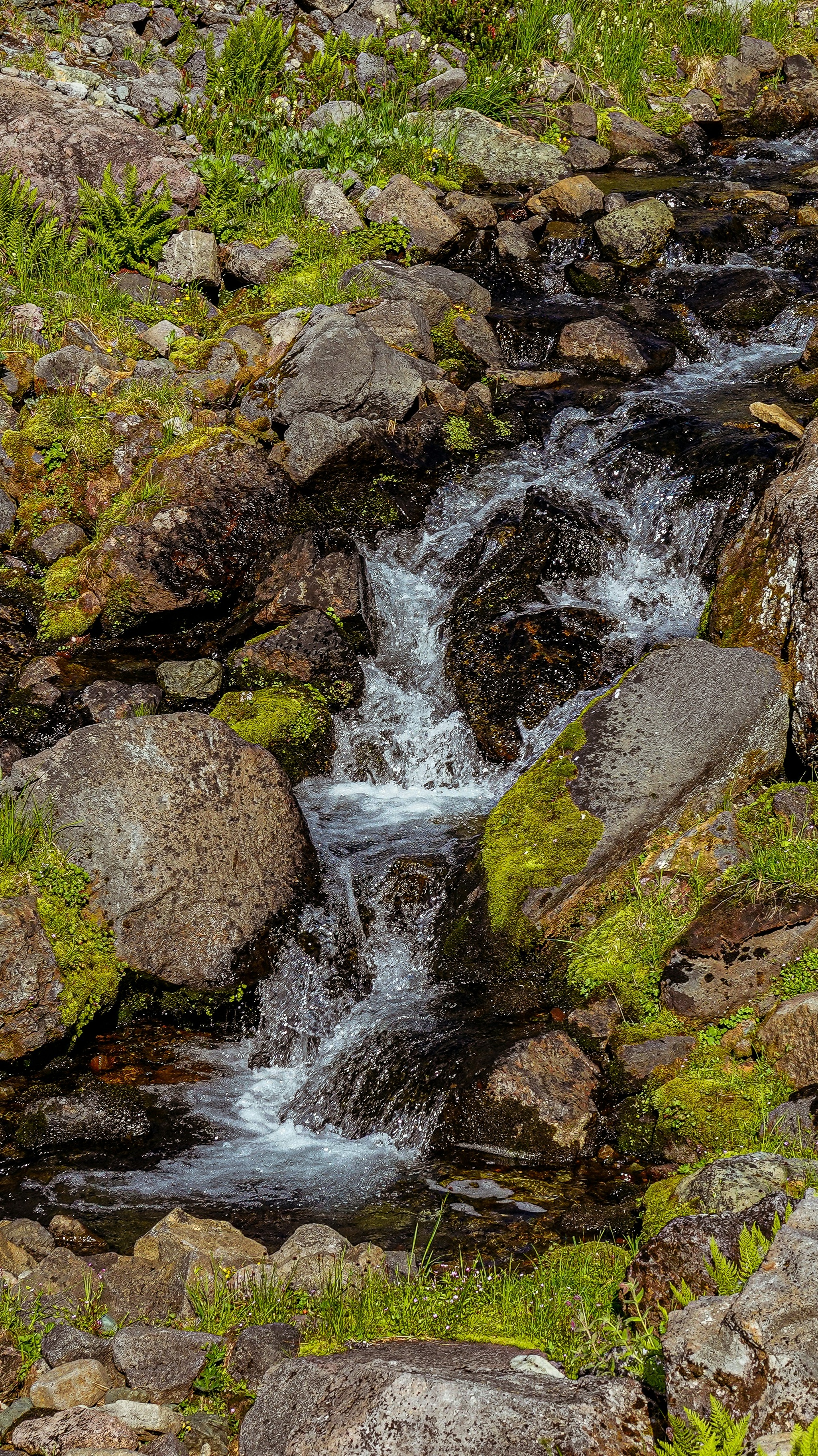 Mountain Stream Over Mossy Rocks