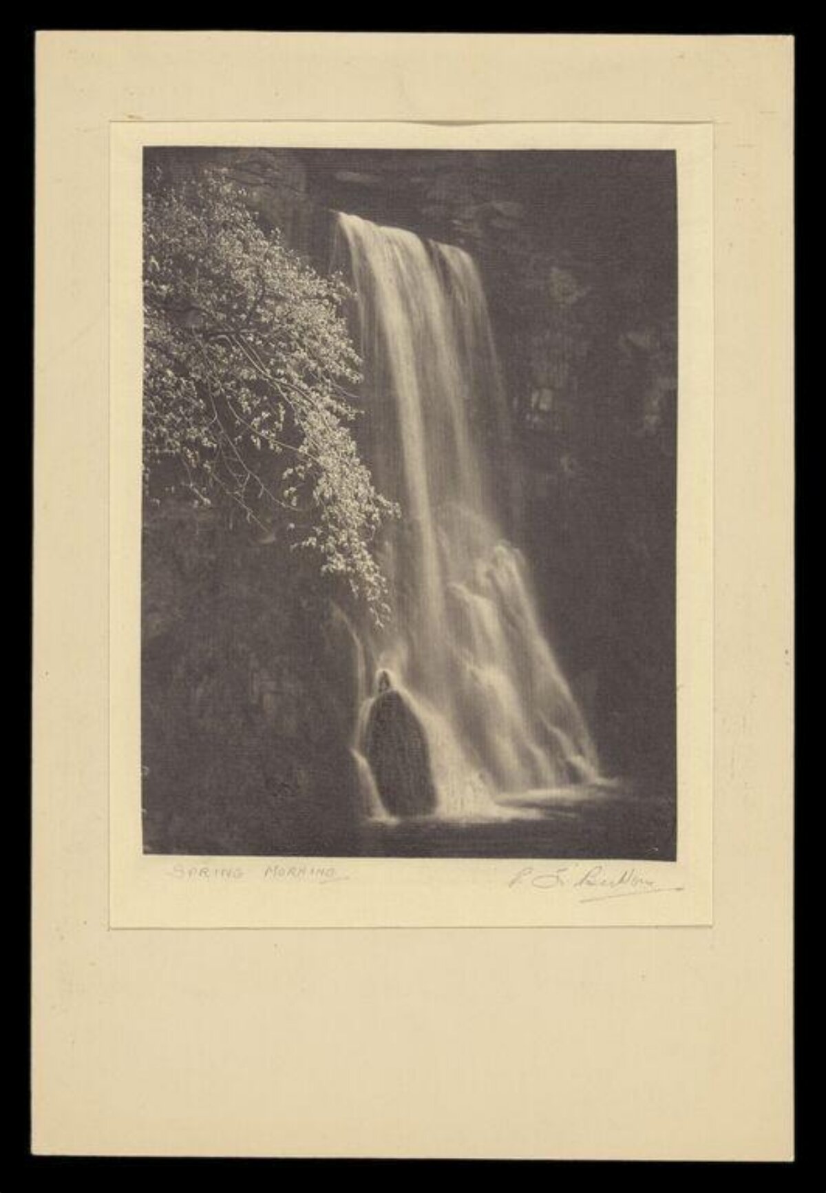 Spring Morning Waterfall
