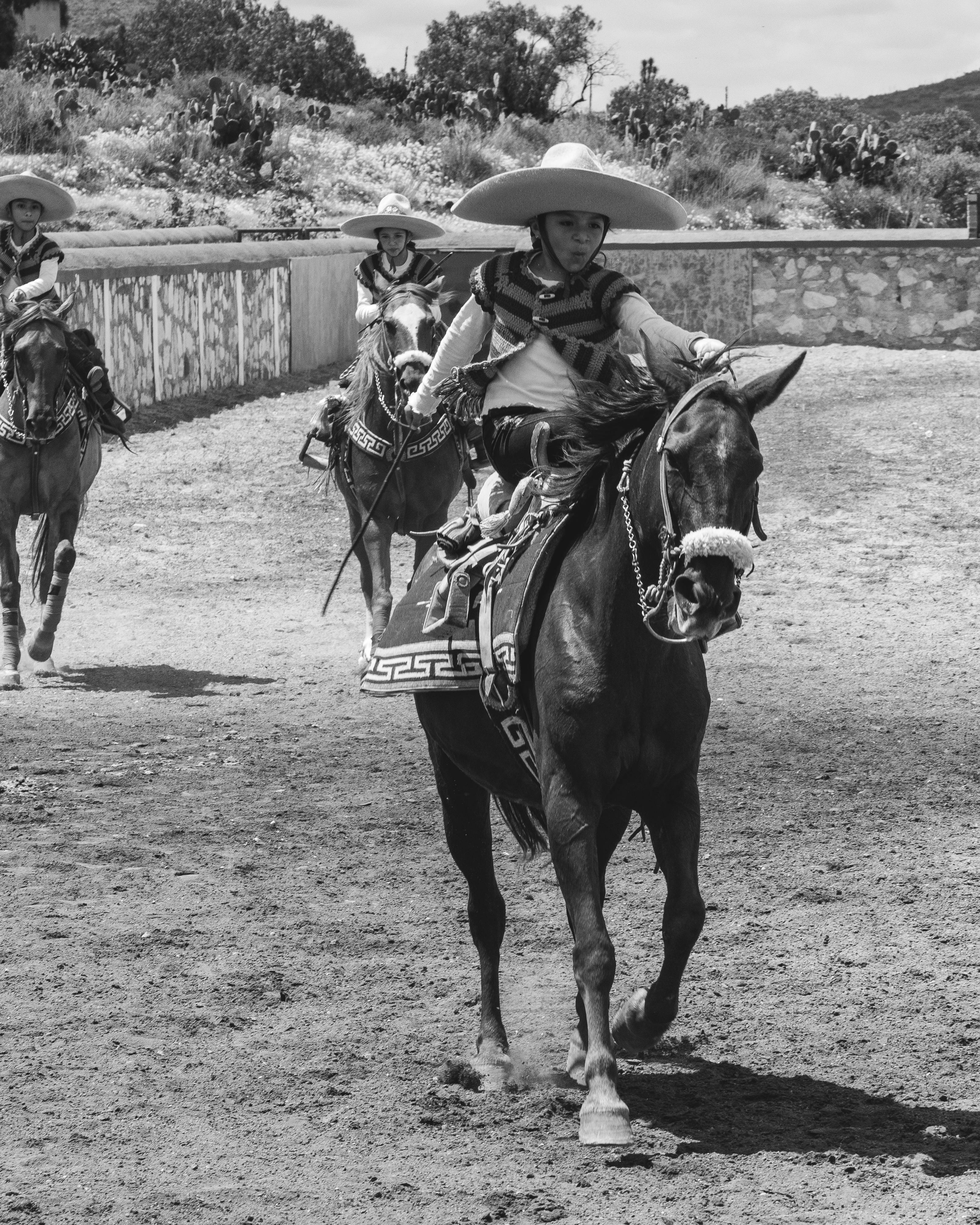 Three Young Charros Riding Horses