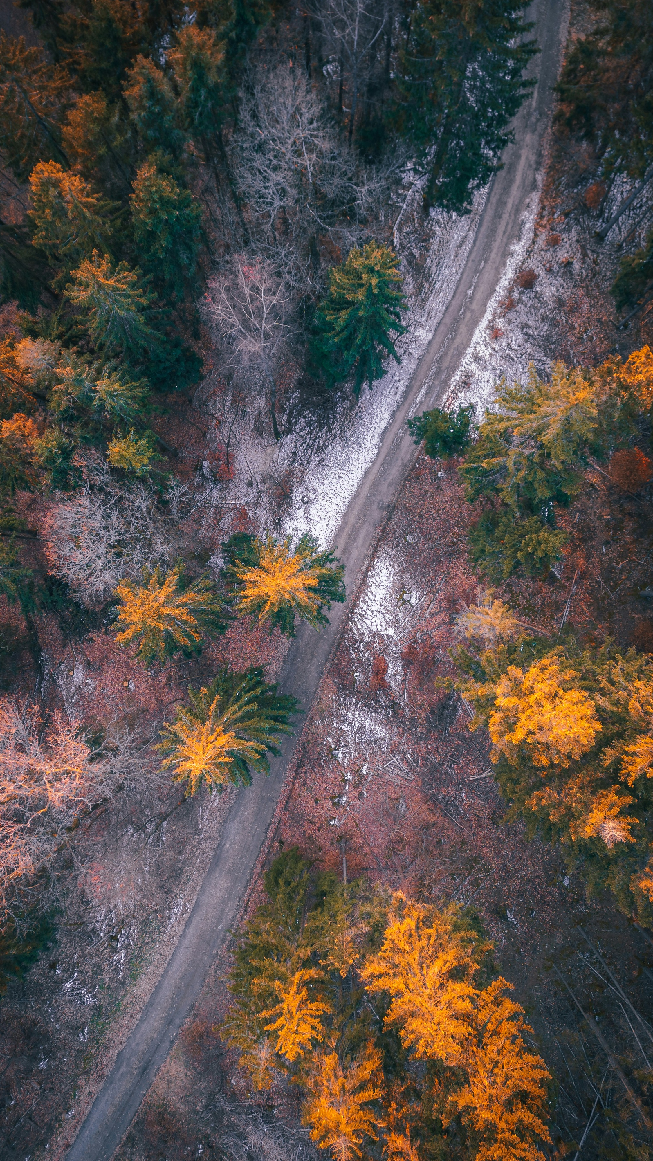 Wallpapers