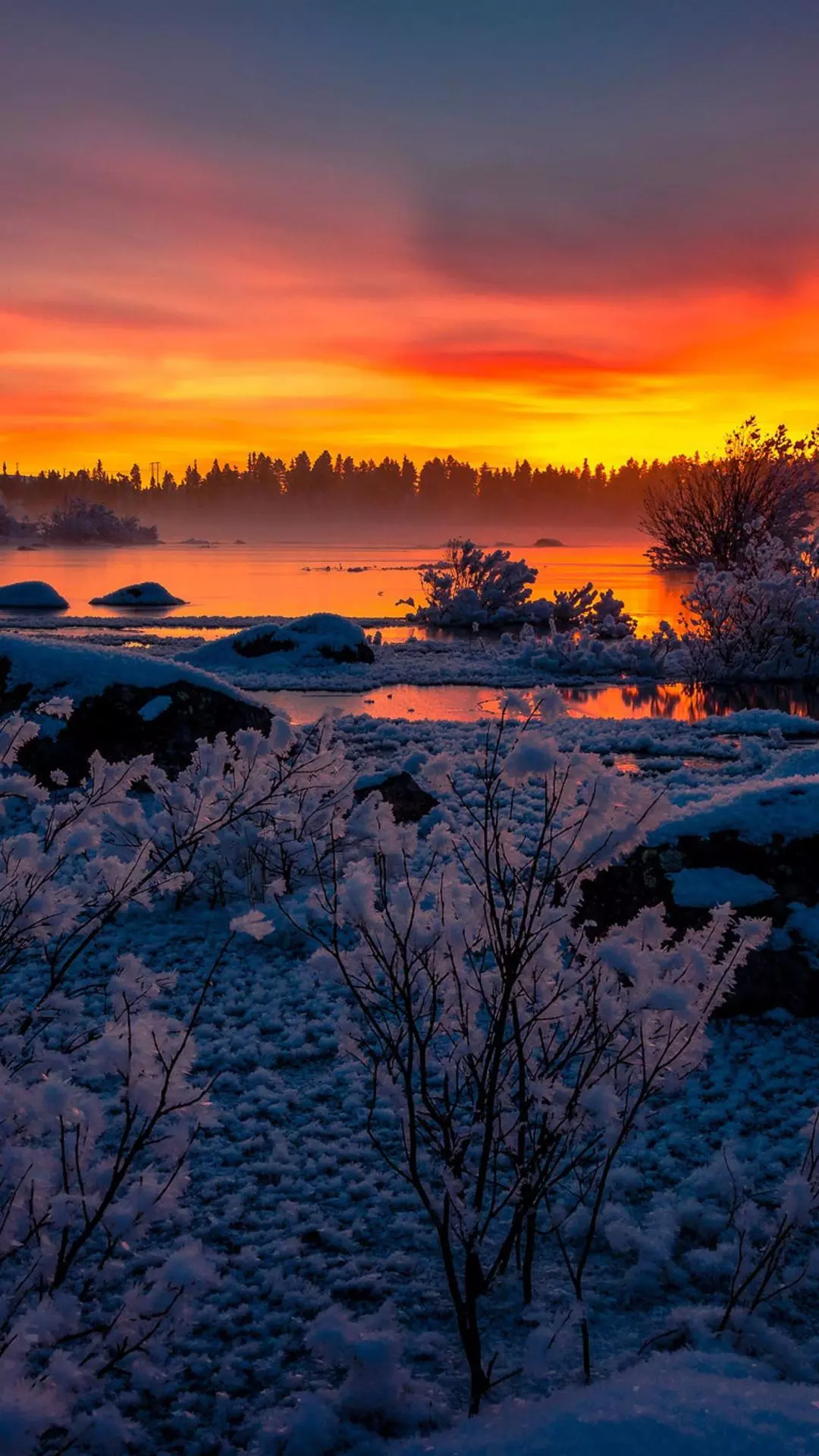Wallpapers