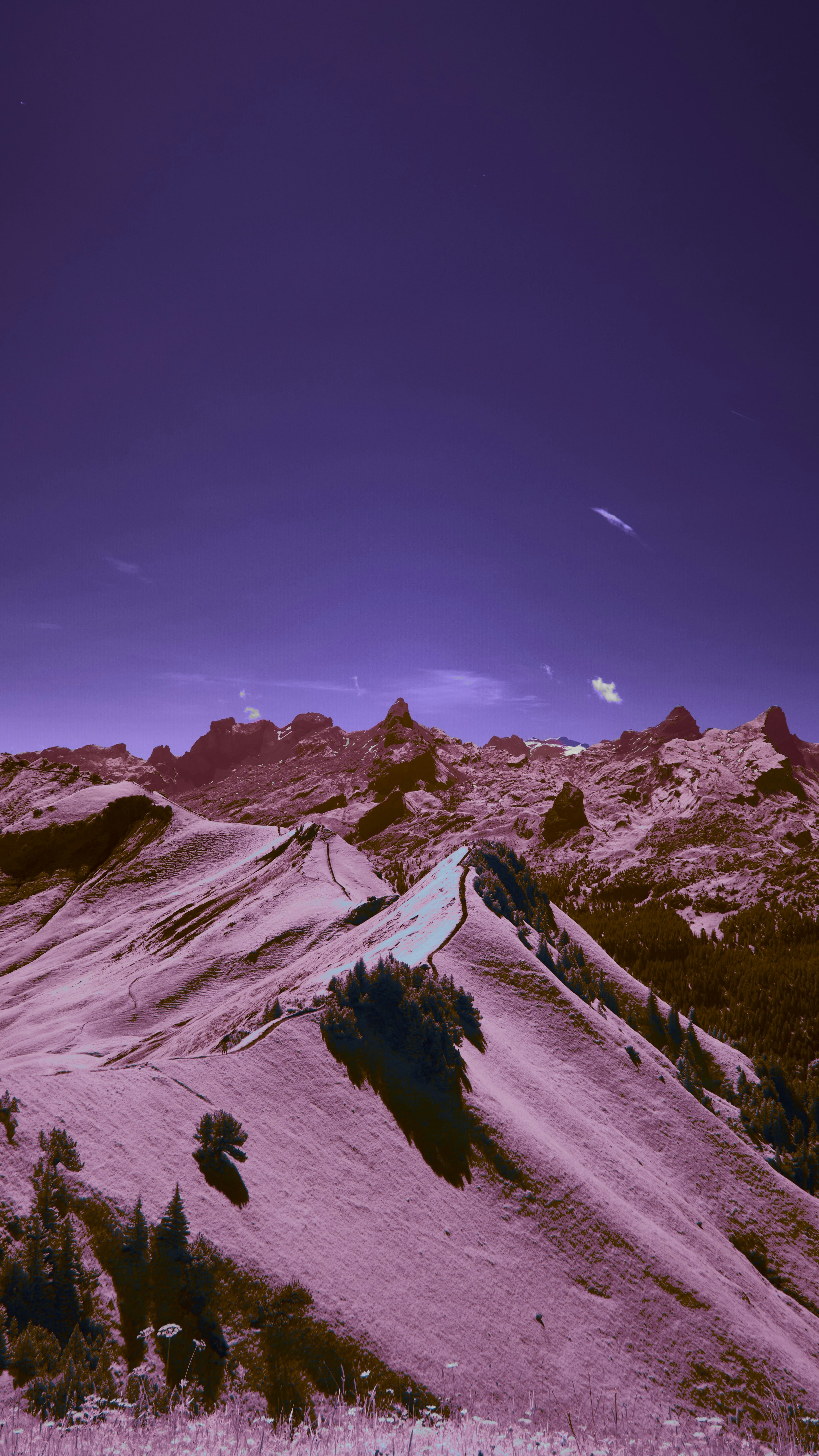 Wallpapers