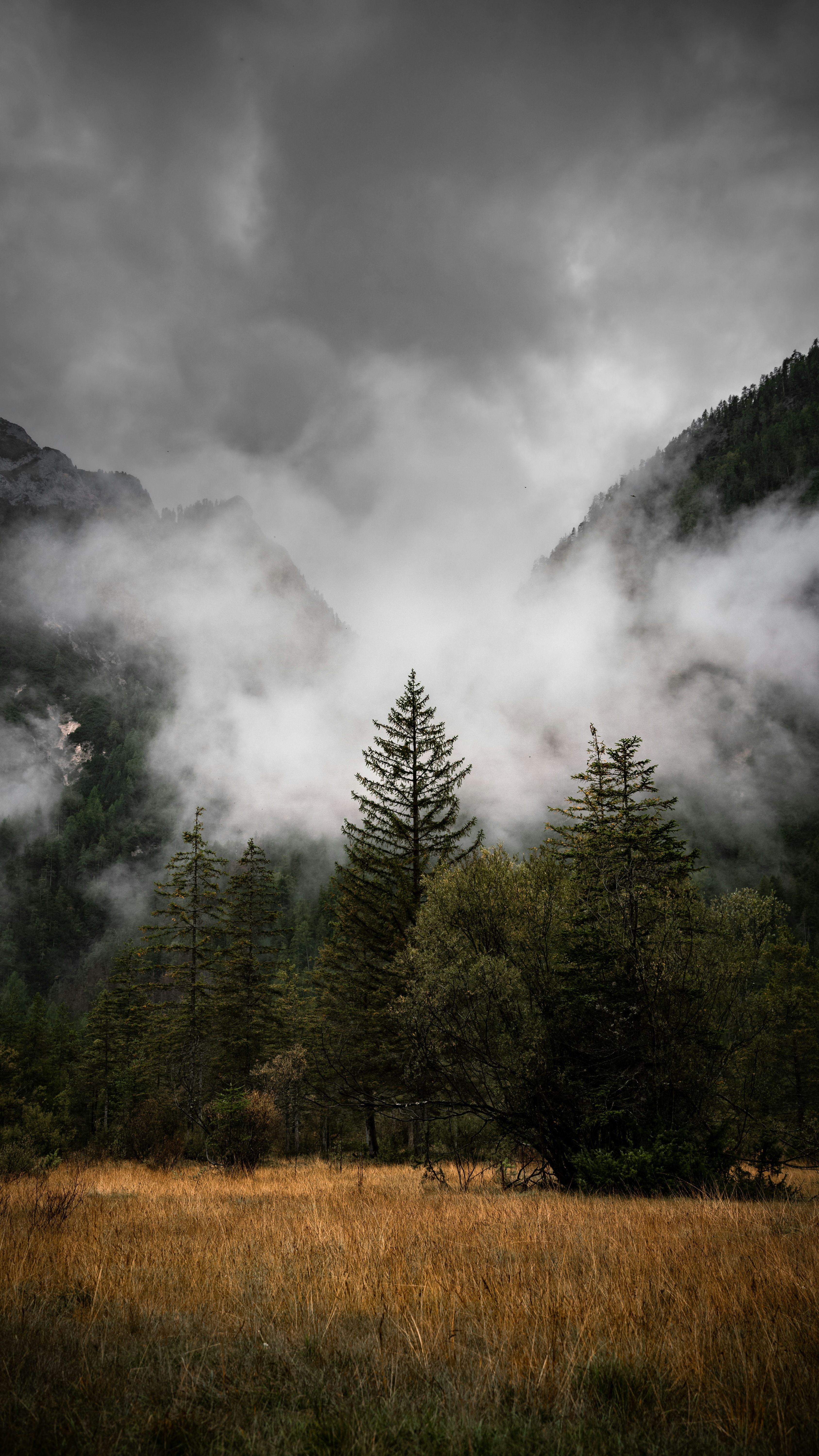 Landscapes