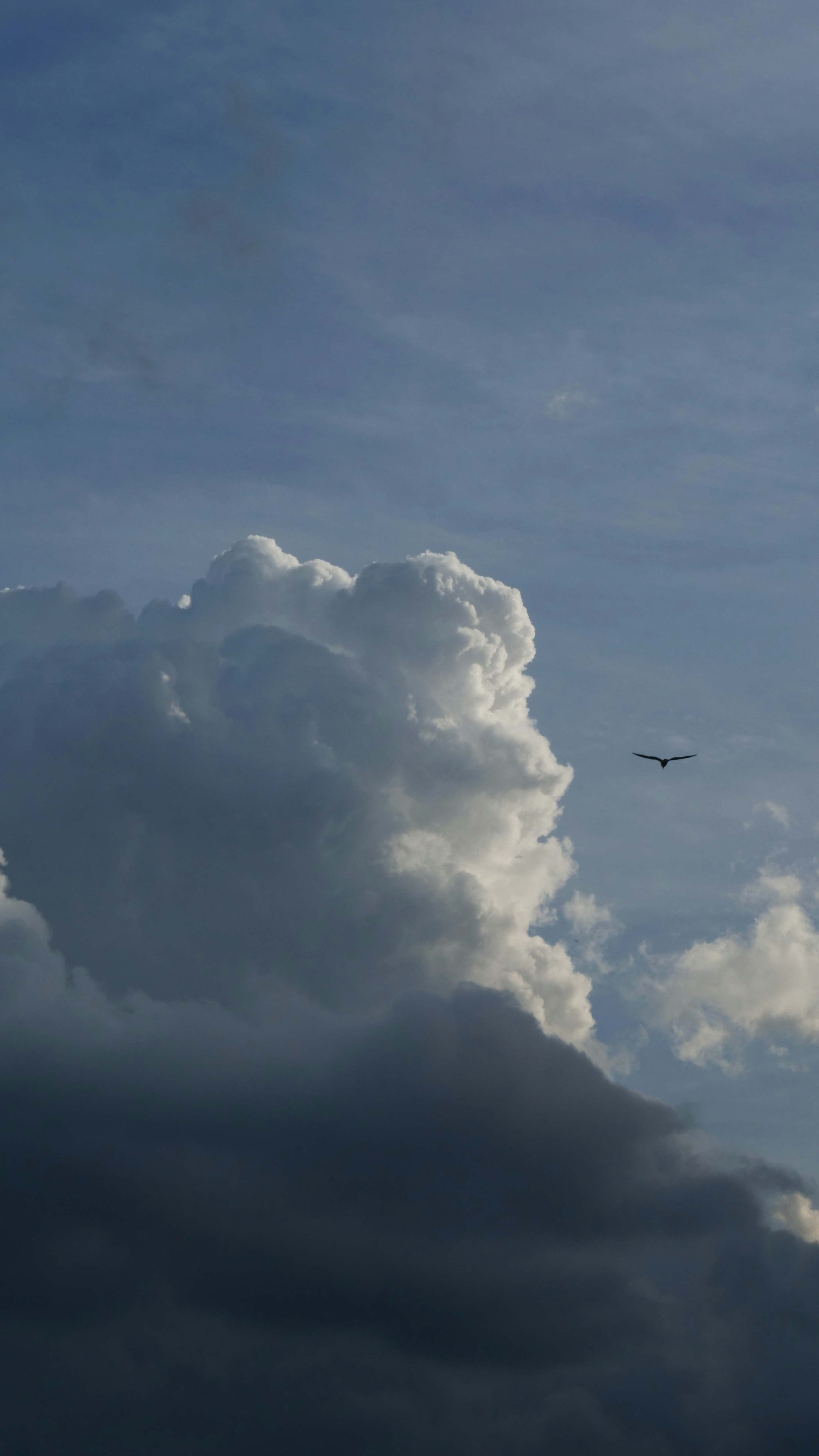 Sky Series