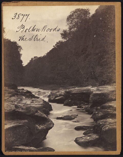 The Strid at Bolton Woods