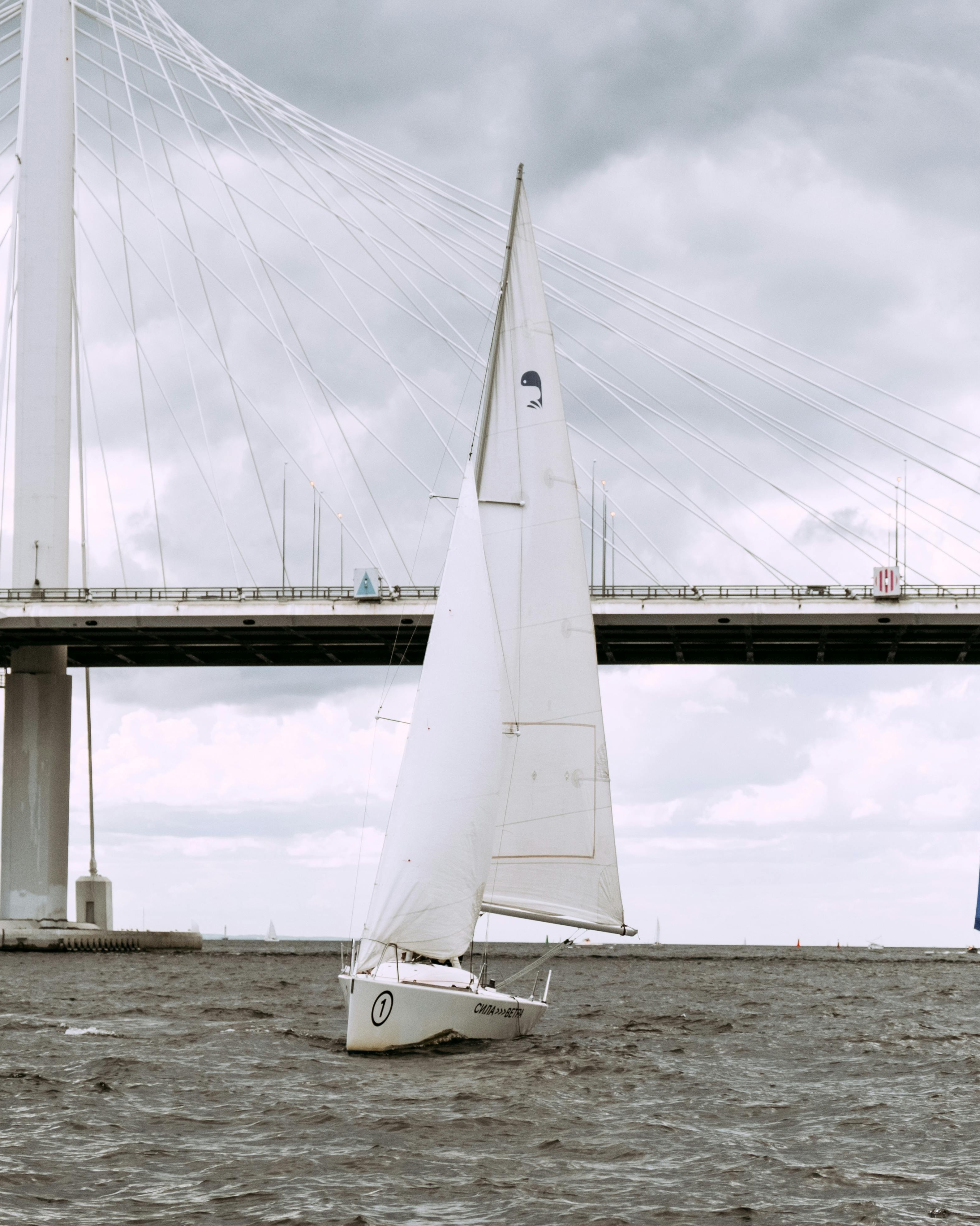 Racing Sailboat Under Cable-Stayed Bridge