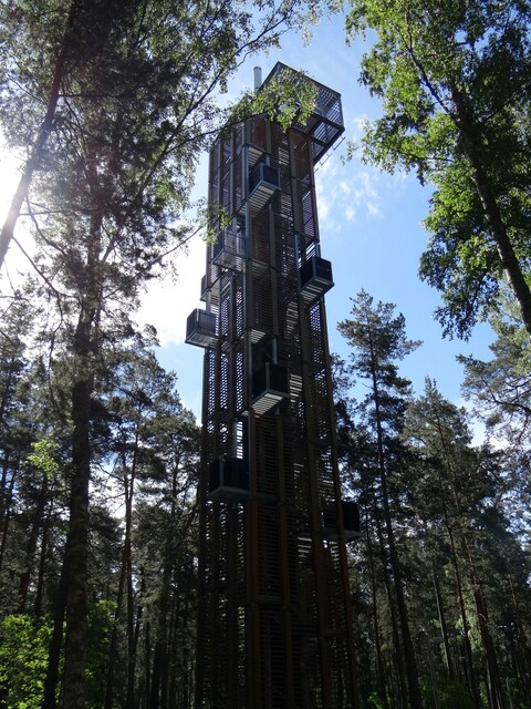 Observation Tower in Forest