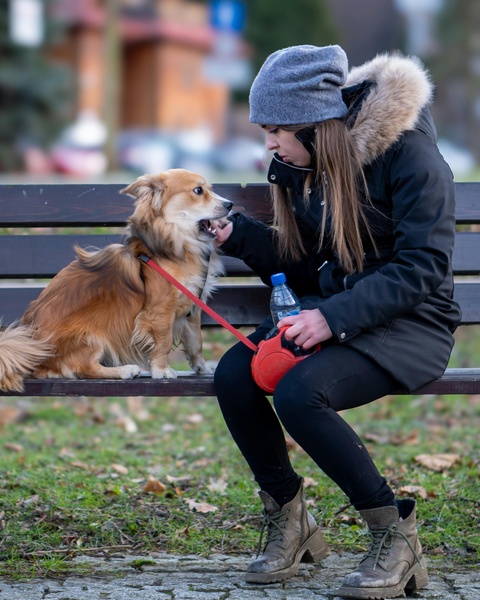 Woman With Dog On Park Bench