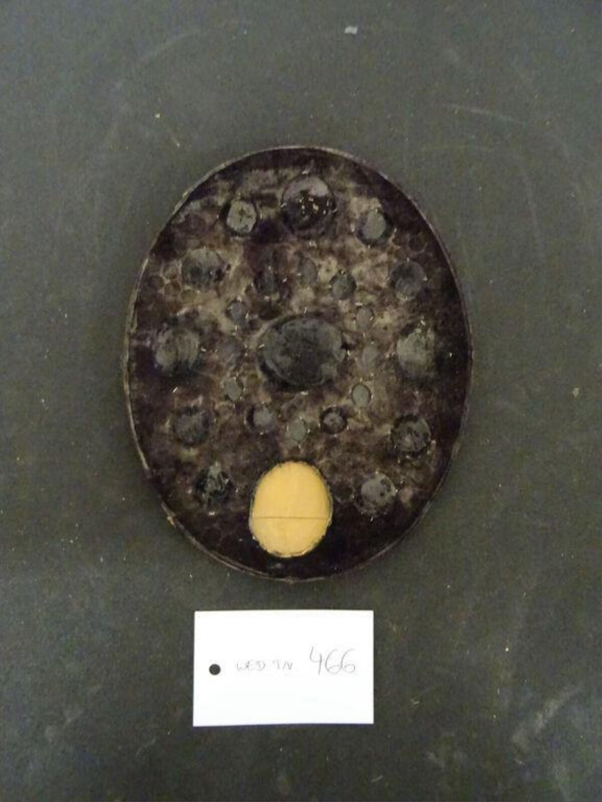Archaeological Sample Number 466