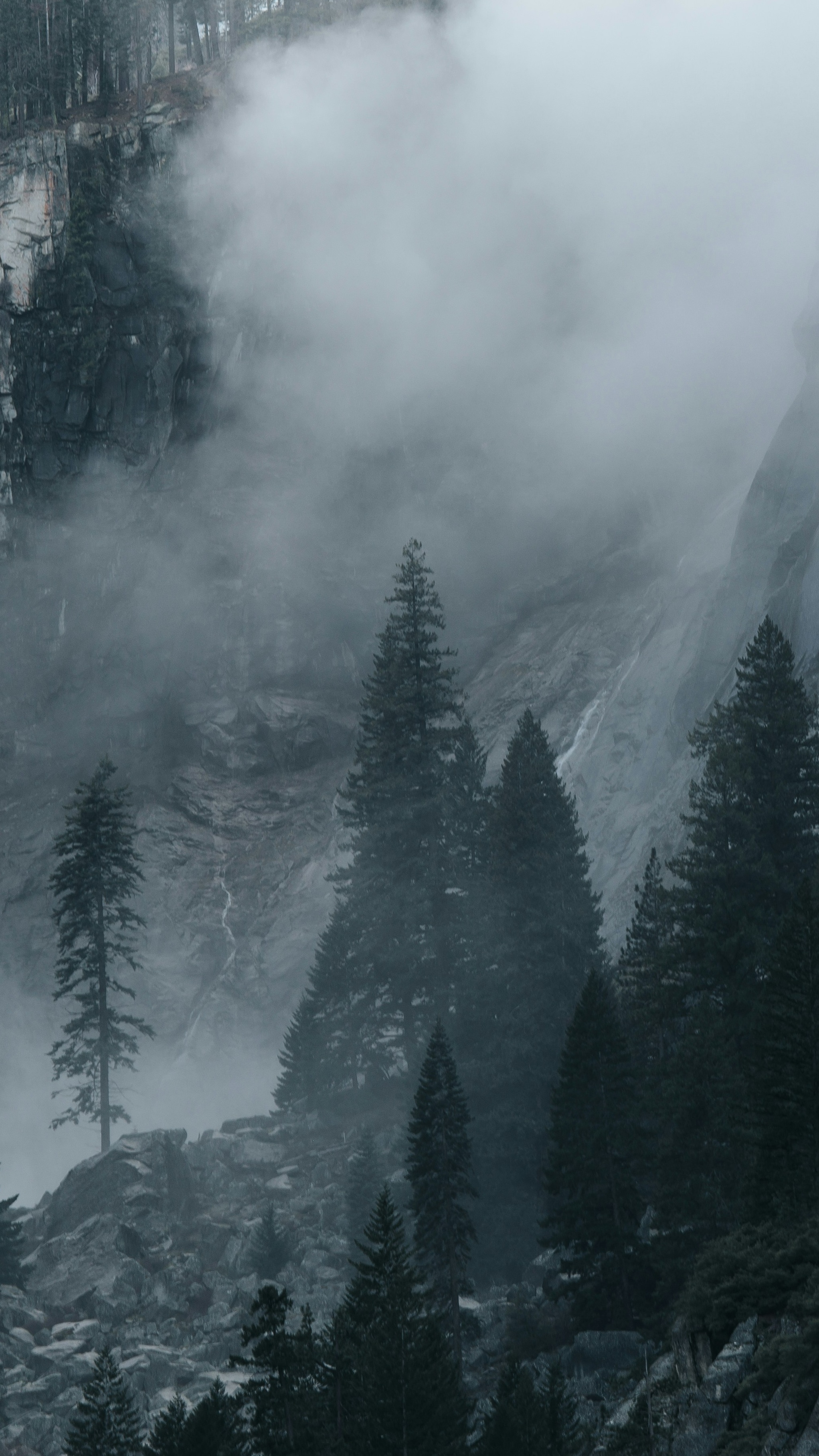 Wallpapers