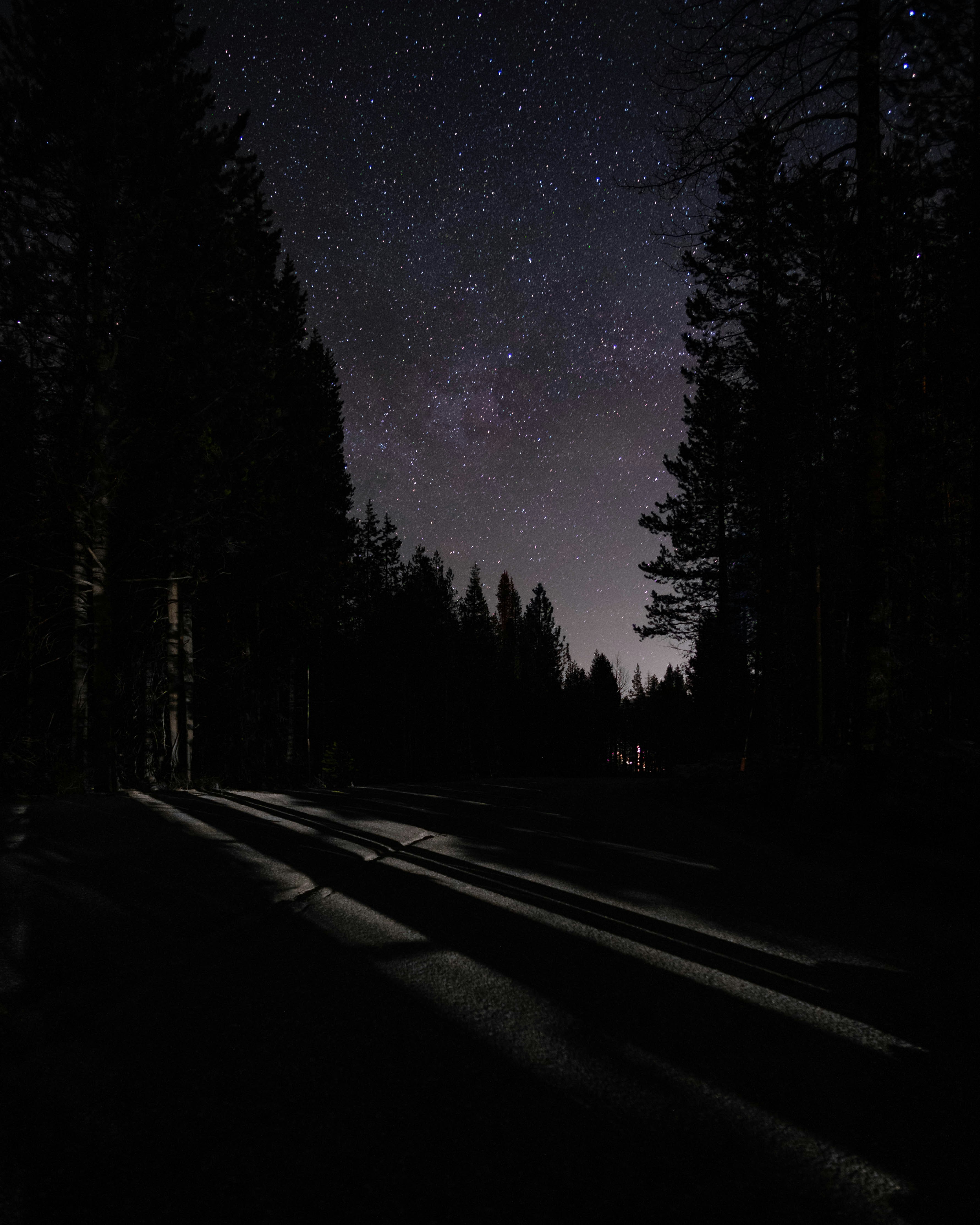 Starry Night Over Forest Road