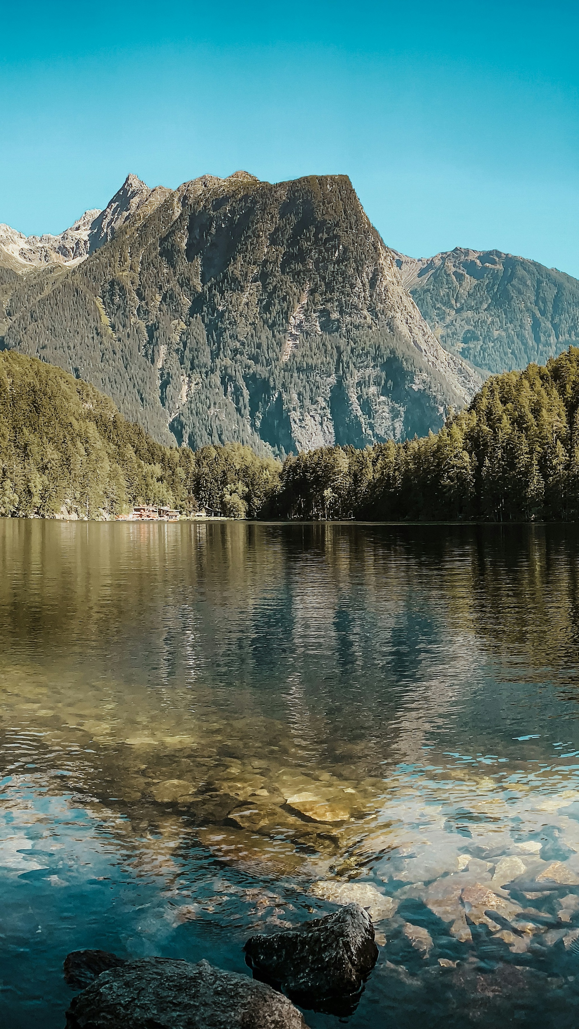 Landscapes