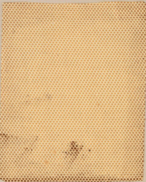 Vintage Honeycomb Dot Textile Sample