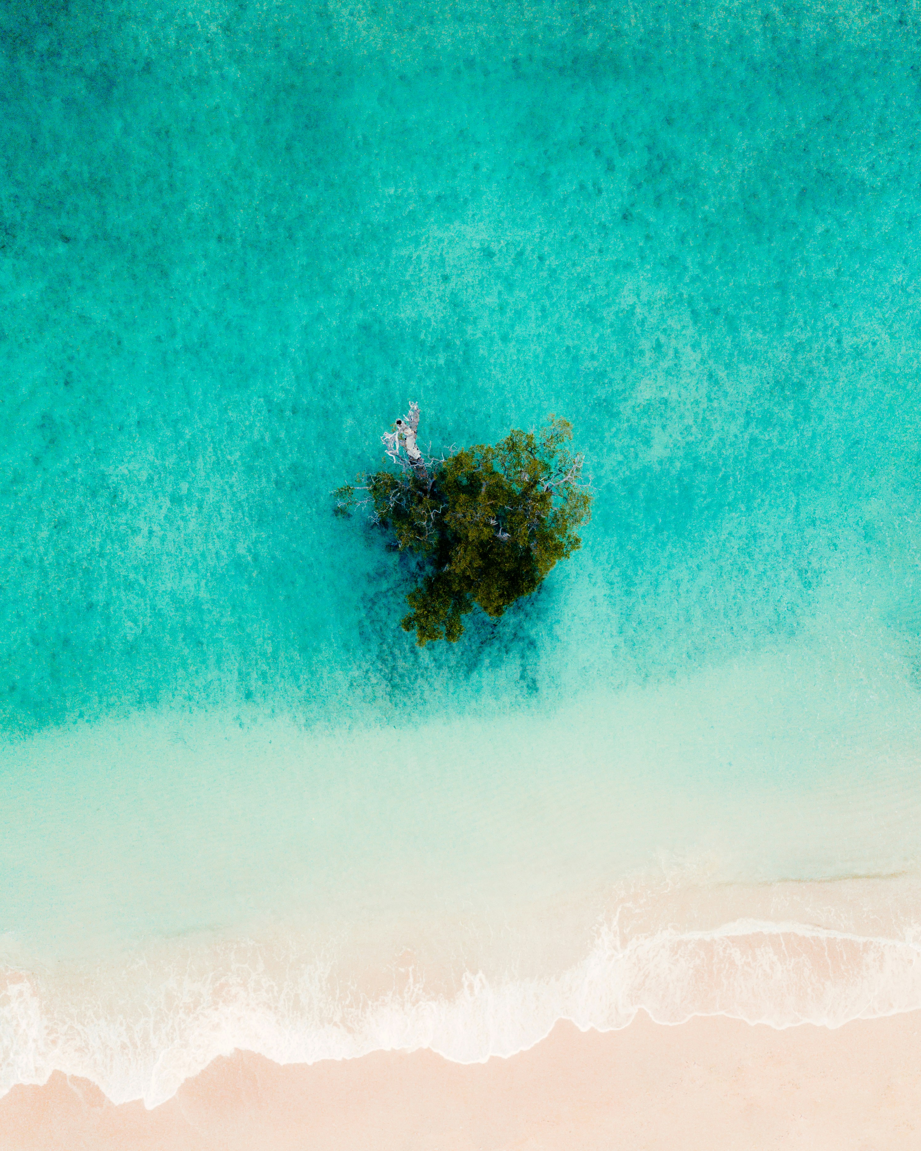 Tiny Islet in Turquoise Sea