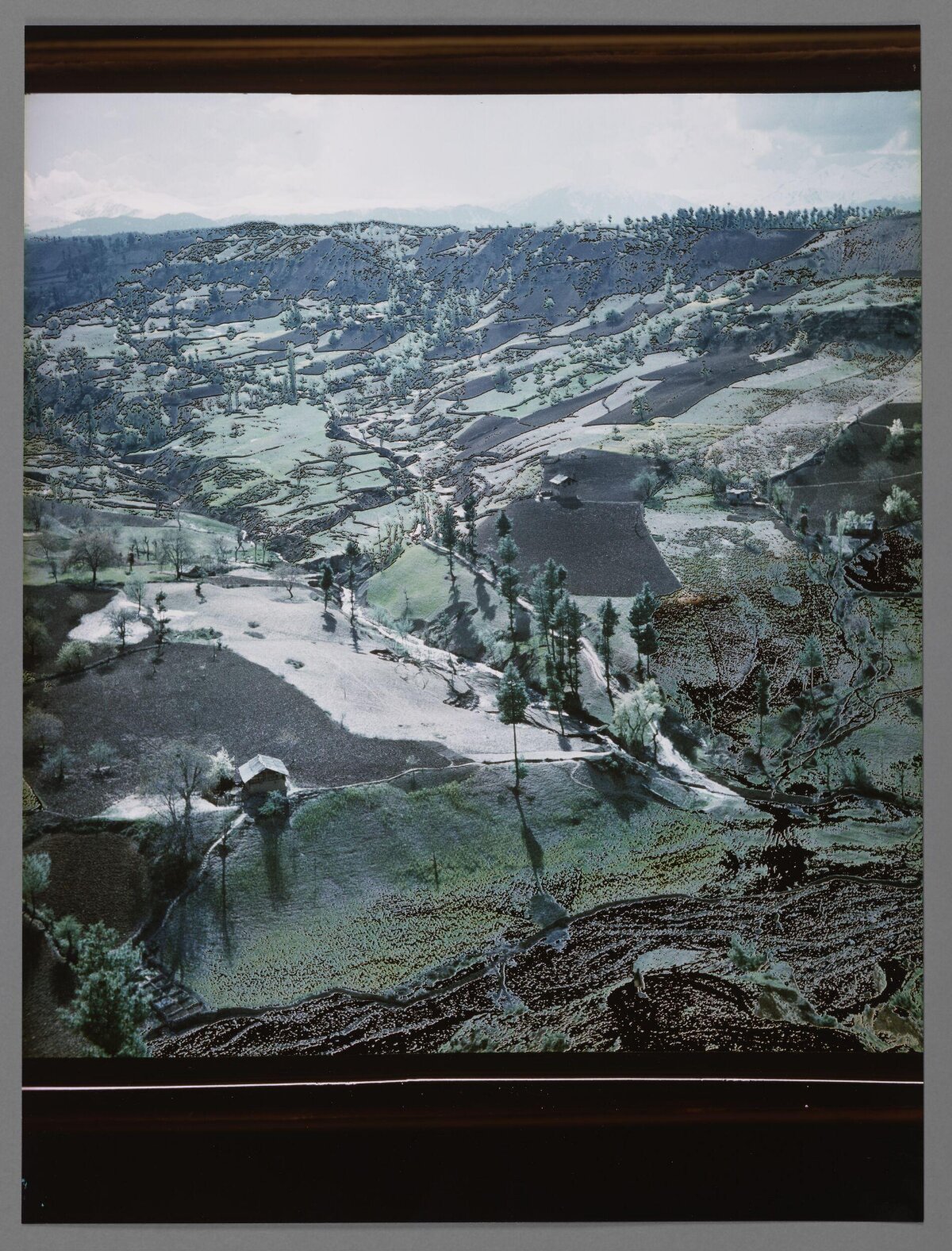 Hilly Terraced Rural Landscape