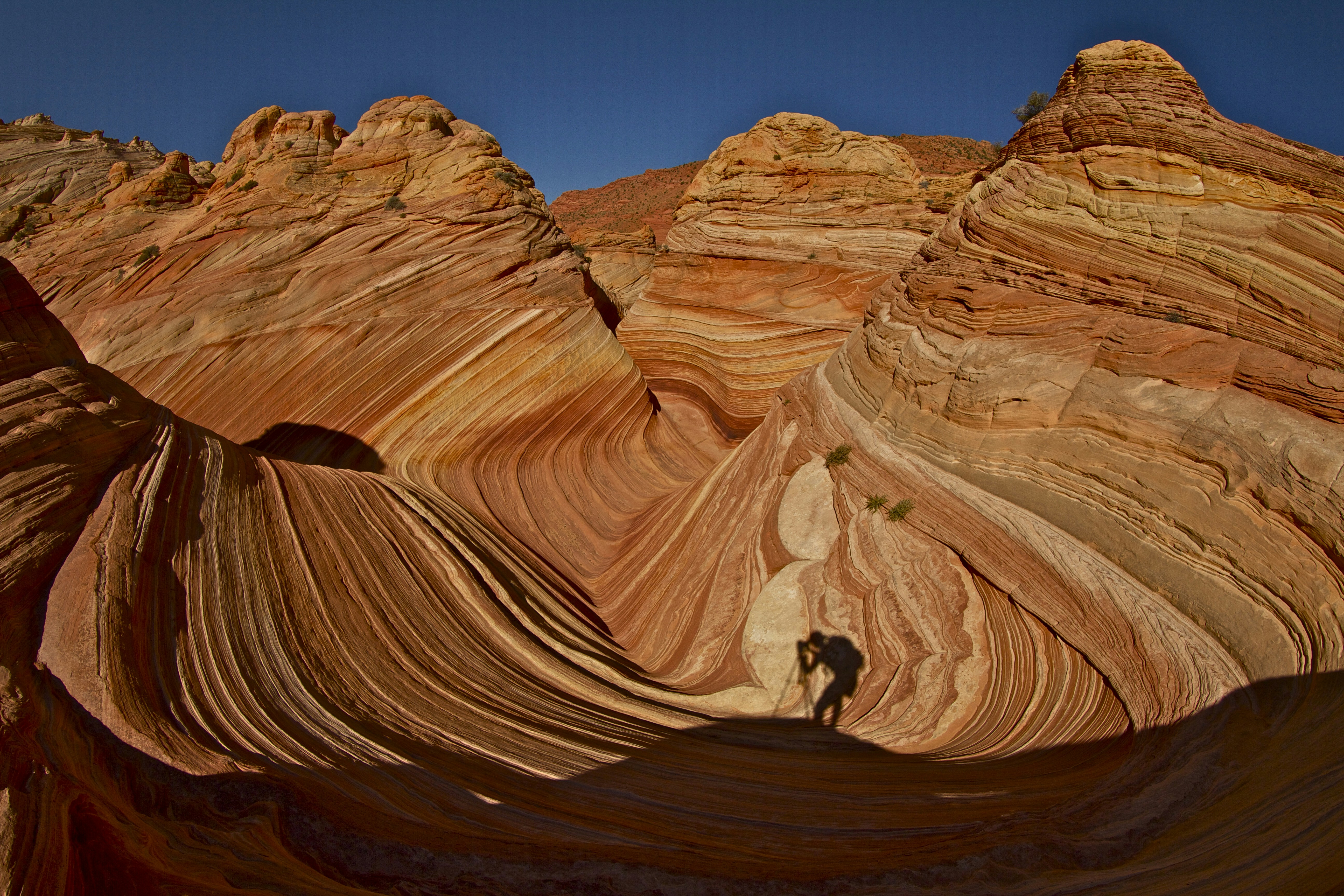 The Wave Sandstone Landscape