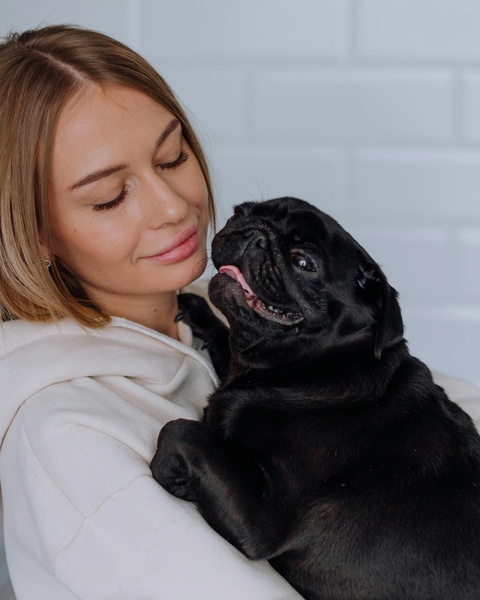 Woman Holding Affectionate Black Pug