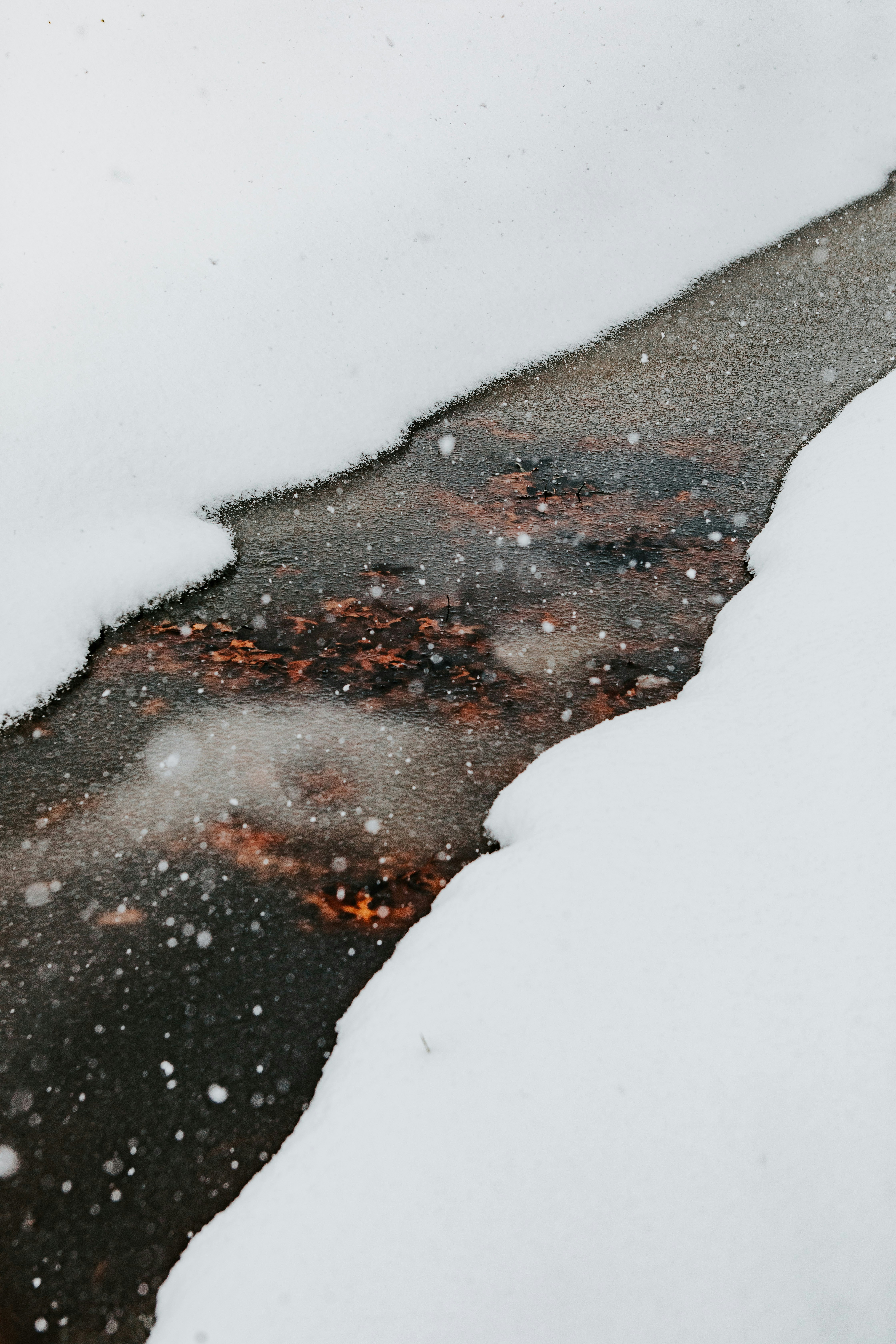 Unfrozen Stream in Falling Snow