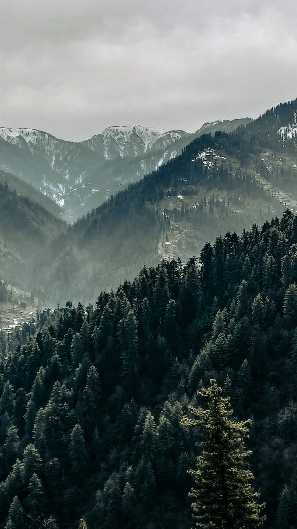 Landscapes