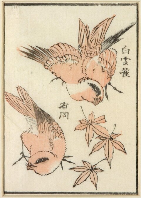 White Cloud Sparrows Woodblock Print