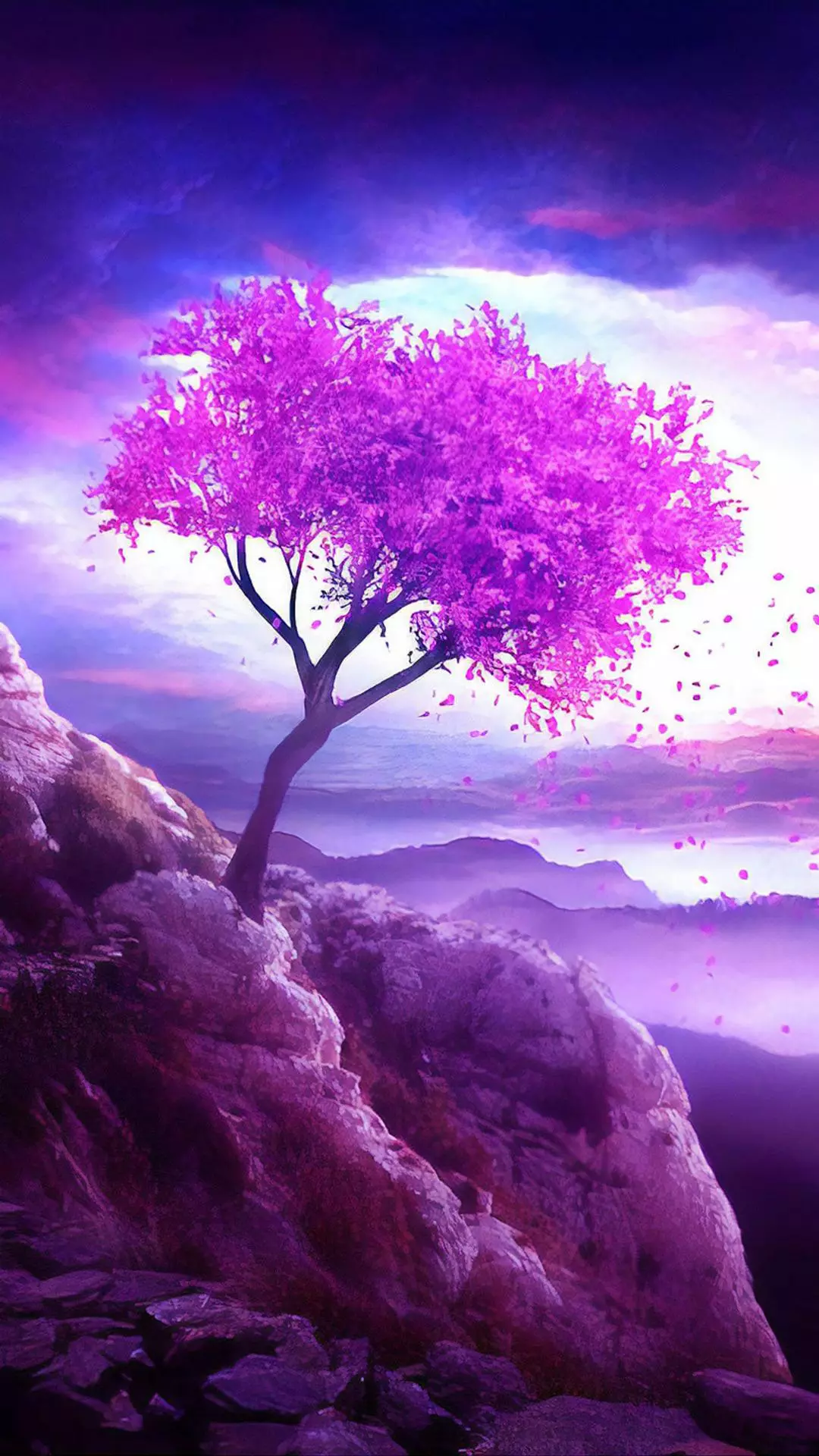 Wallpapers