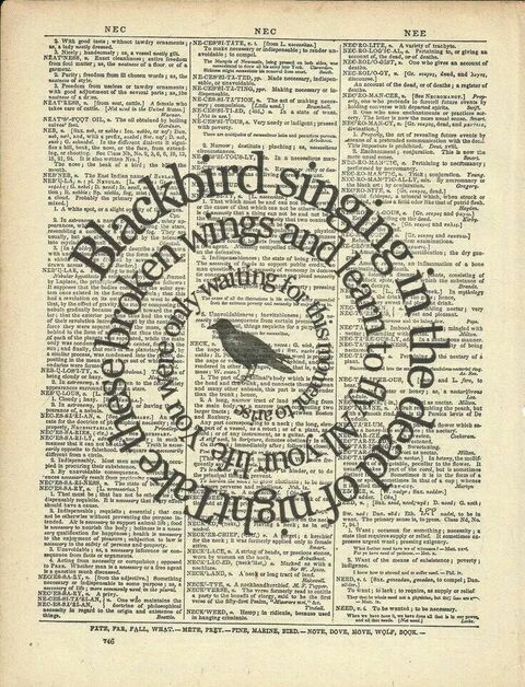 Blackbird Poem on Old Dictionary Page