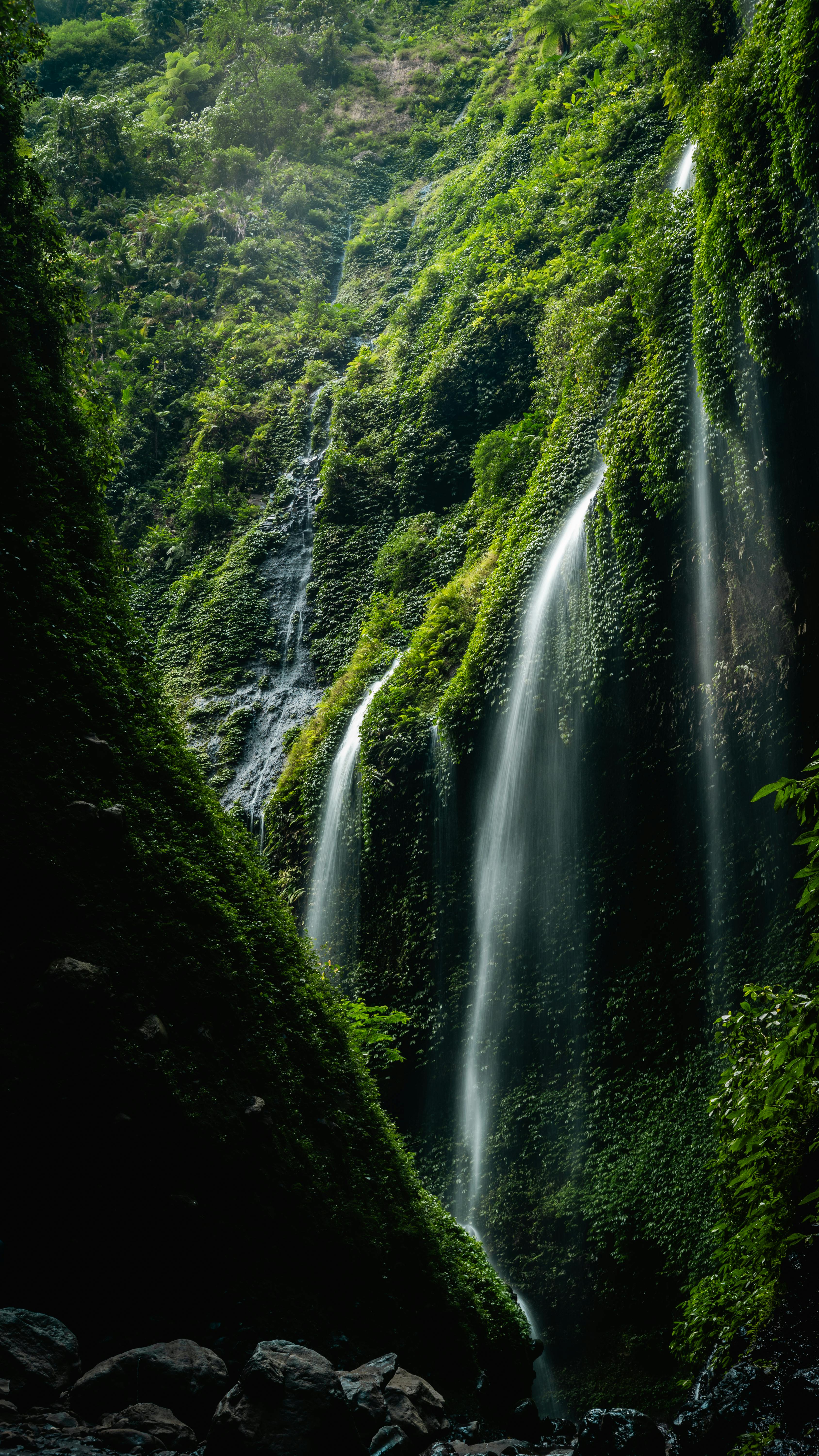Wallpapers