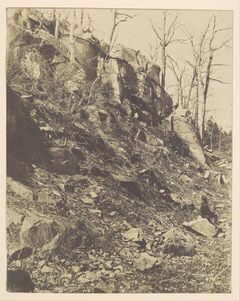 Rocky Hillside with Bare Trees