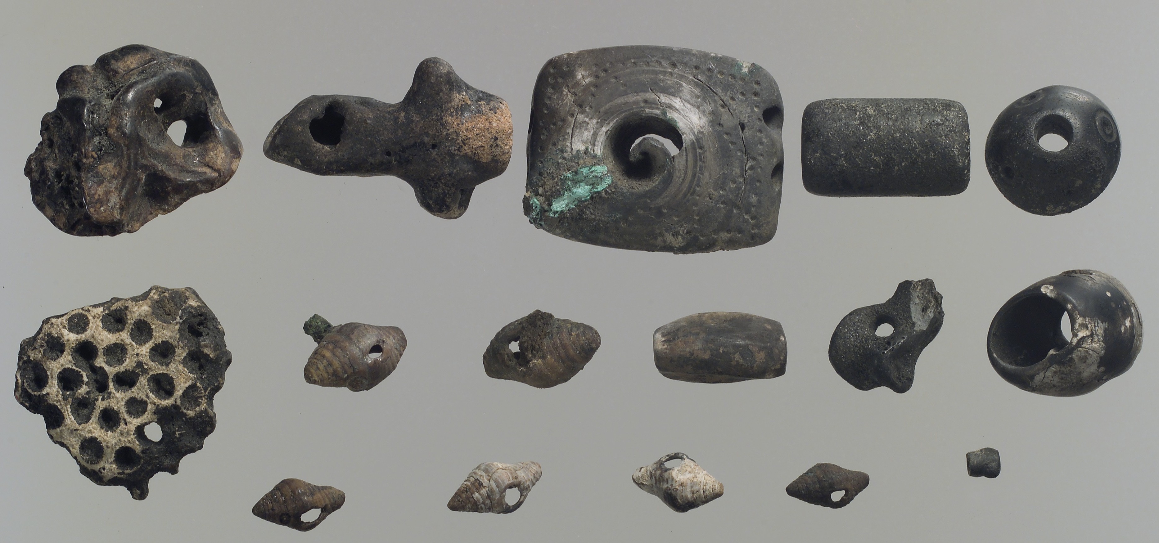 Ancient Perforated Stone and Shell Artifacts