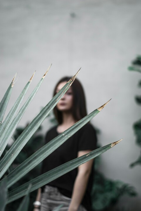 Spiky Plant Leaves With Blurred Woman