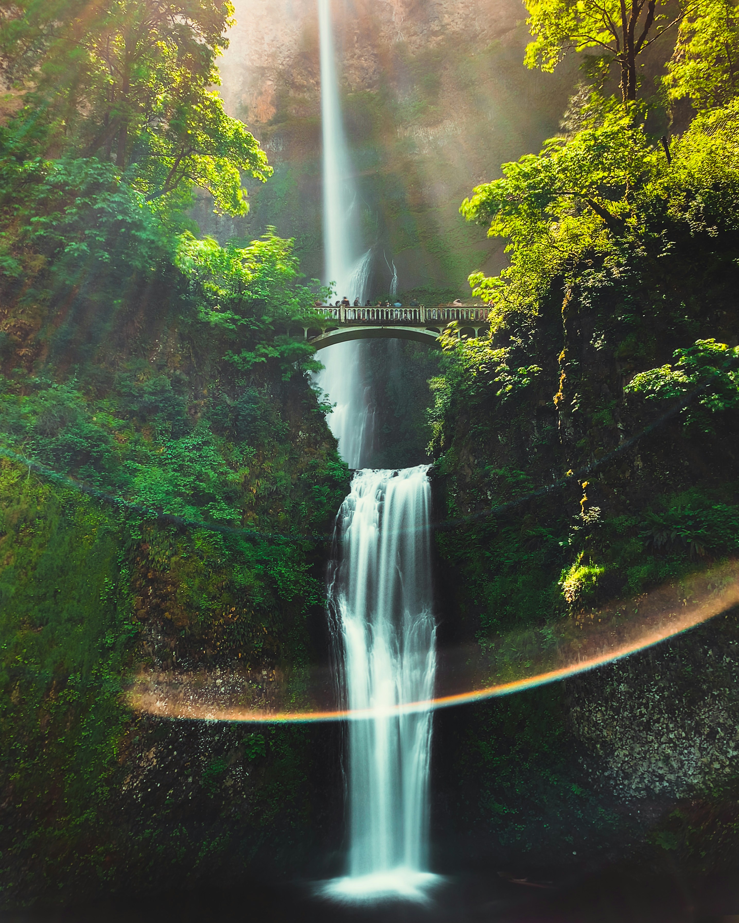 Double Waterfall with Bridge in Green Forest