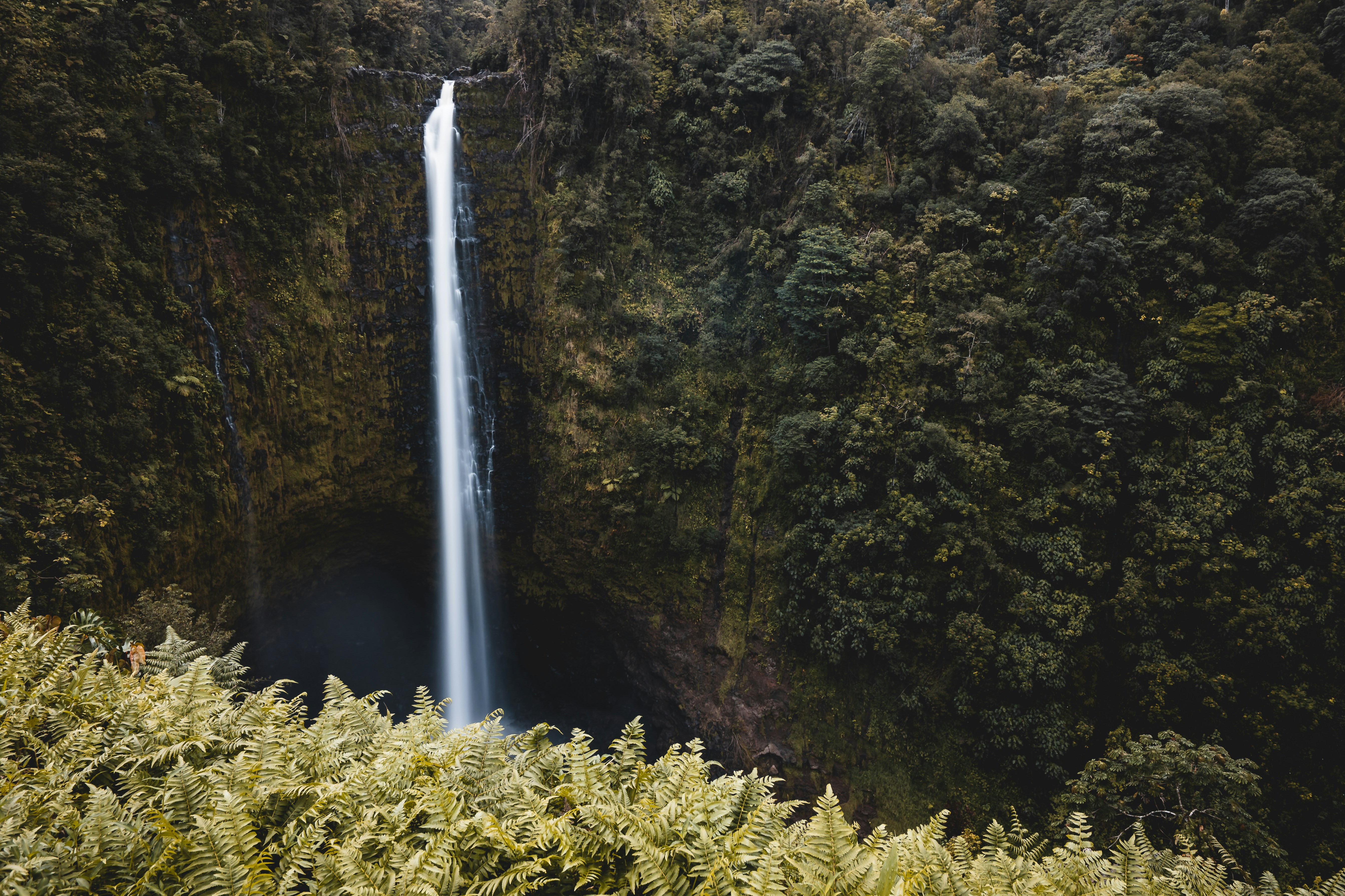 Tall Waterfall in Dense Forest